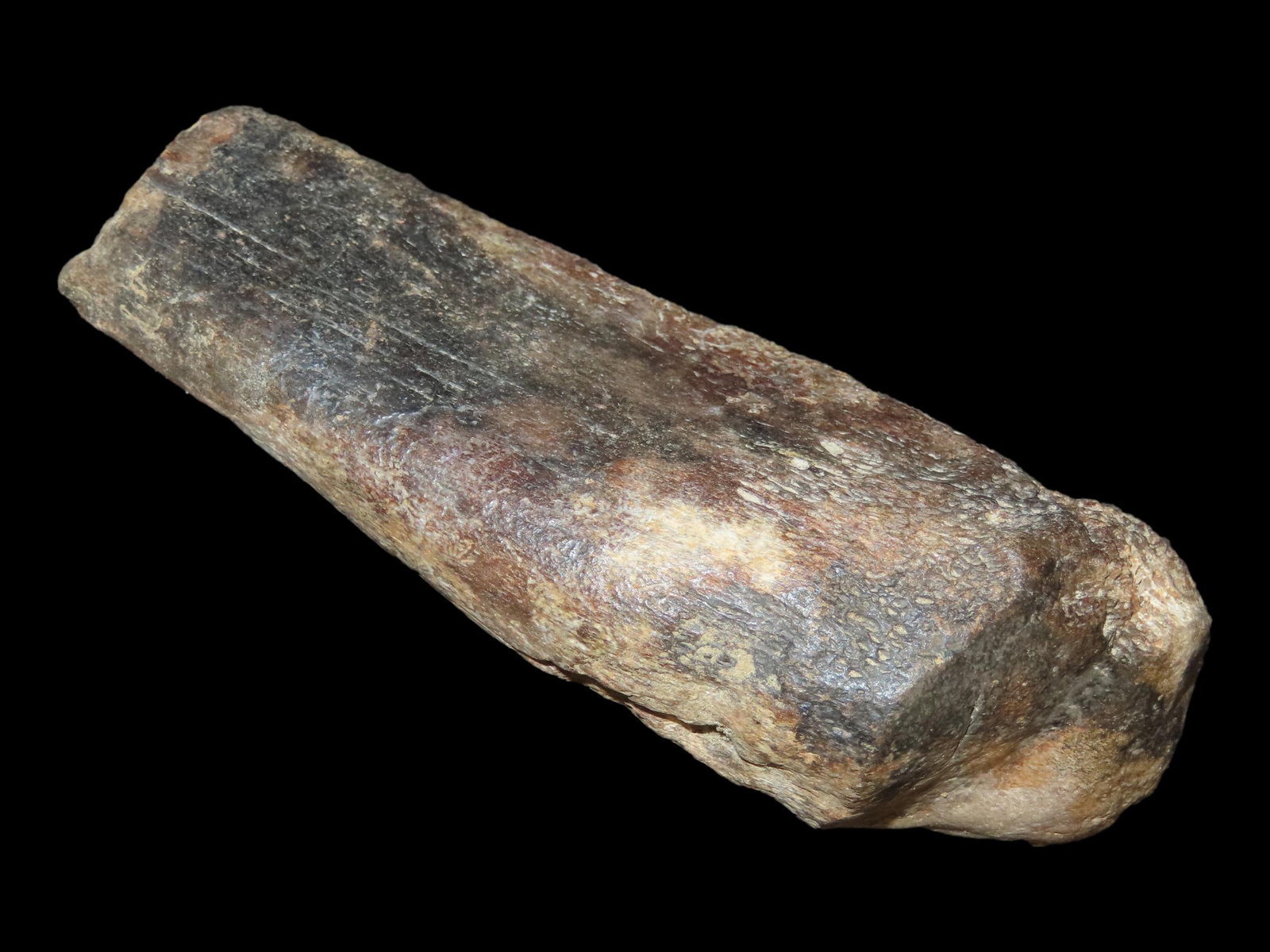 Large Fossilized Bone, Mammoth/Mastodon Era, Found in Lee Co., Iowa (1 of 6)