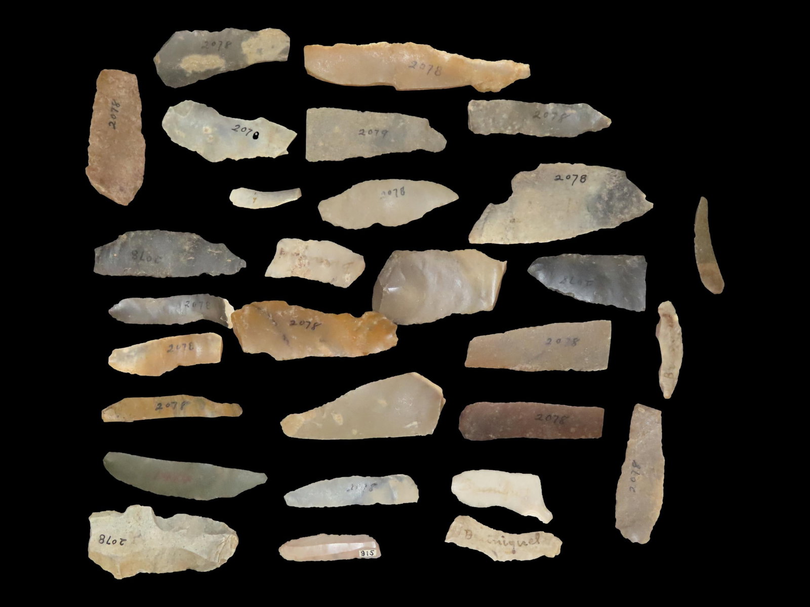 Large Collection of Neolithic/Paleolithic Nordic Bladelets, Found in Denmark (1 of 2)
