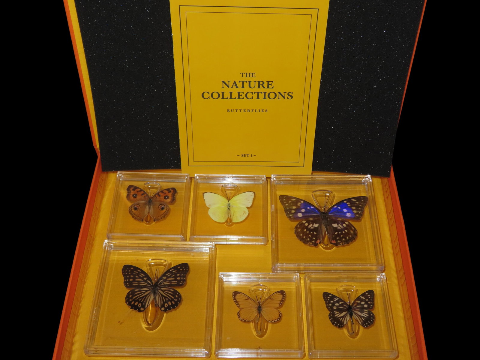 The Nature Collections of Butterflies (1 of 8)