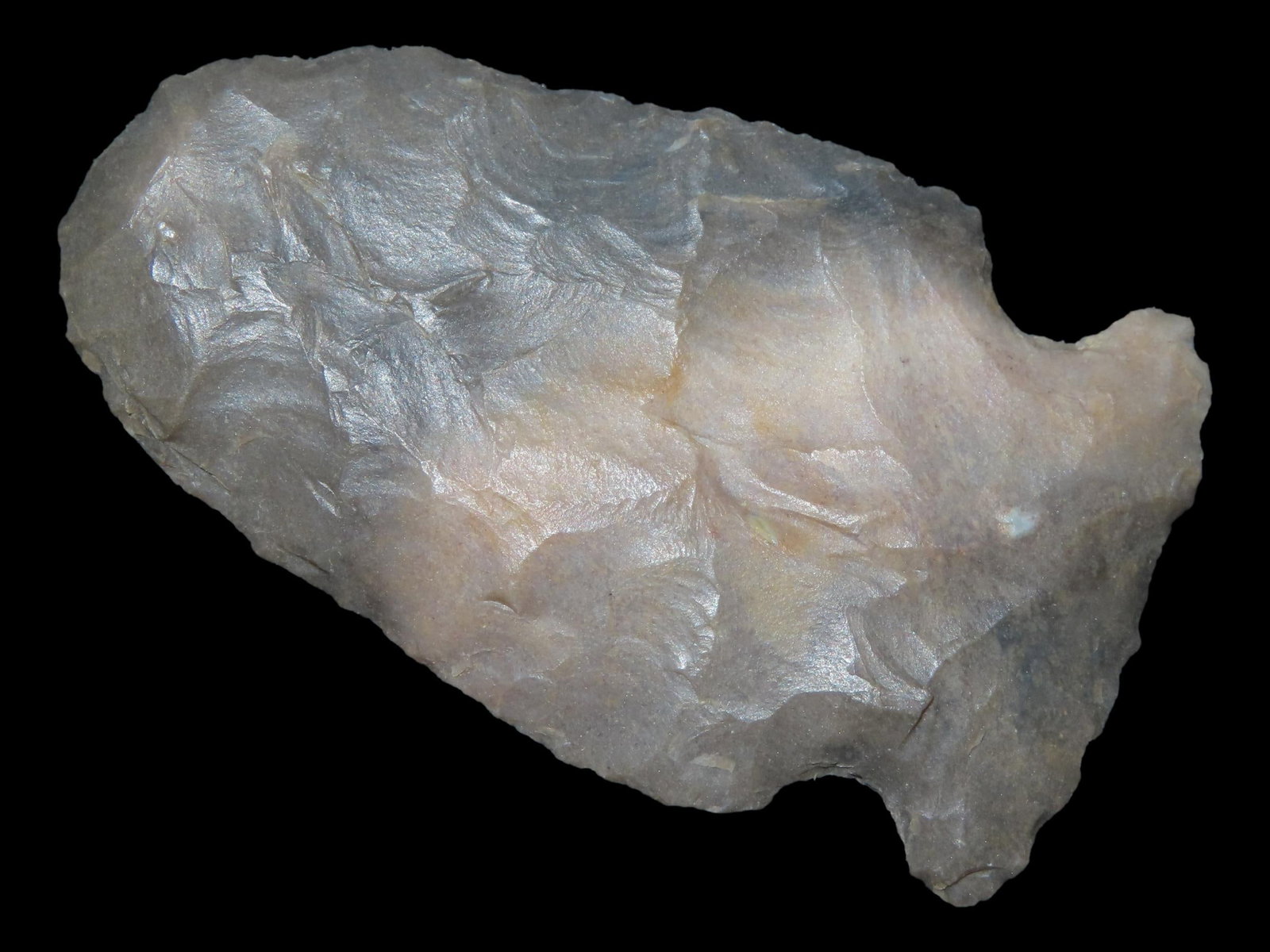 1 7/8" Blunt/Stunner, Henderson Co., Kentucky, Ex. Walt McIntyre: 1 7/8" Blunt/Stunner, Henderson Co., Kentucky, Ex. Walt McIntyre