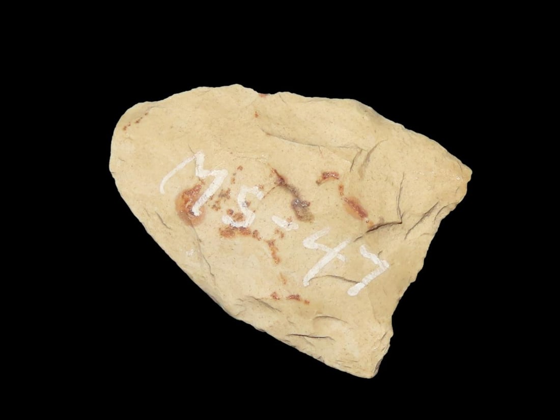 7/8" Folsom, Small Fluted Paleo, Site Marked MS-47 (1 of 6)
