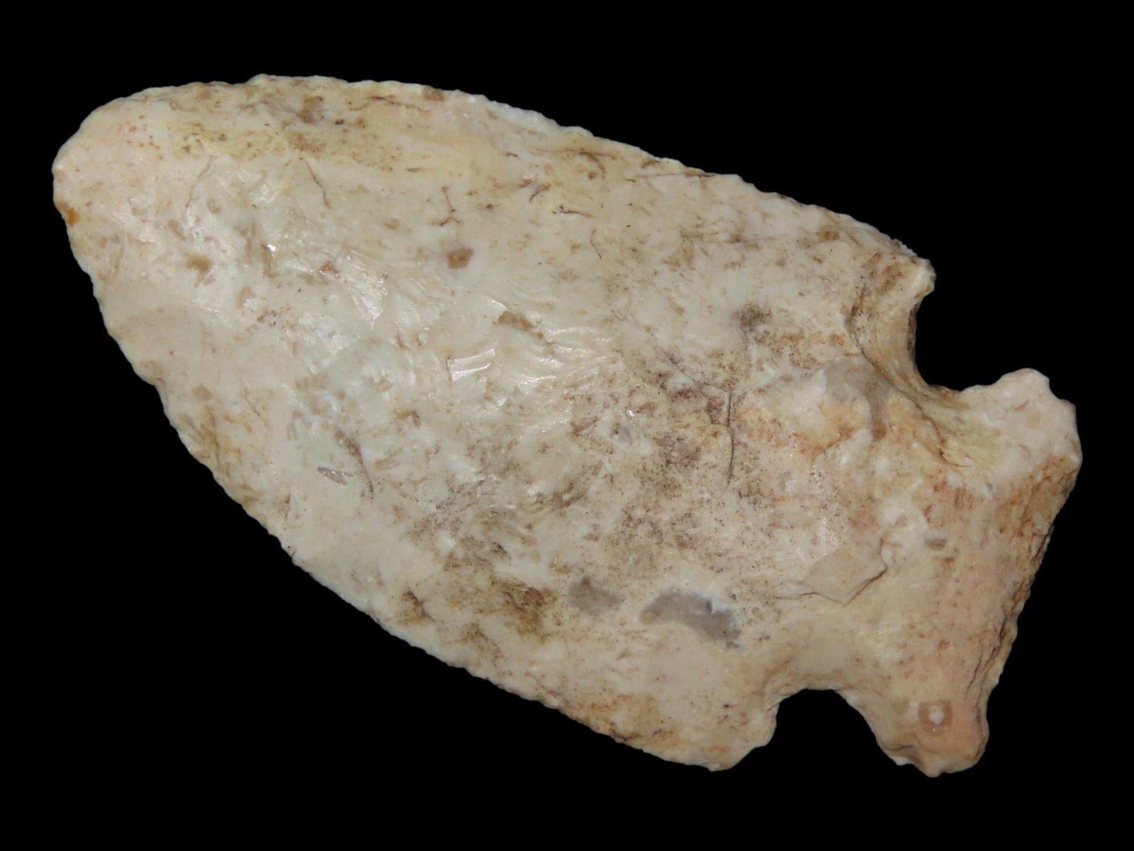 2 1/4" Raddatz, St. Louis Co., Missouri, Ex. Nick Gatses (1 of 6)