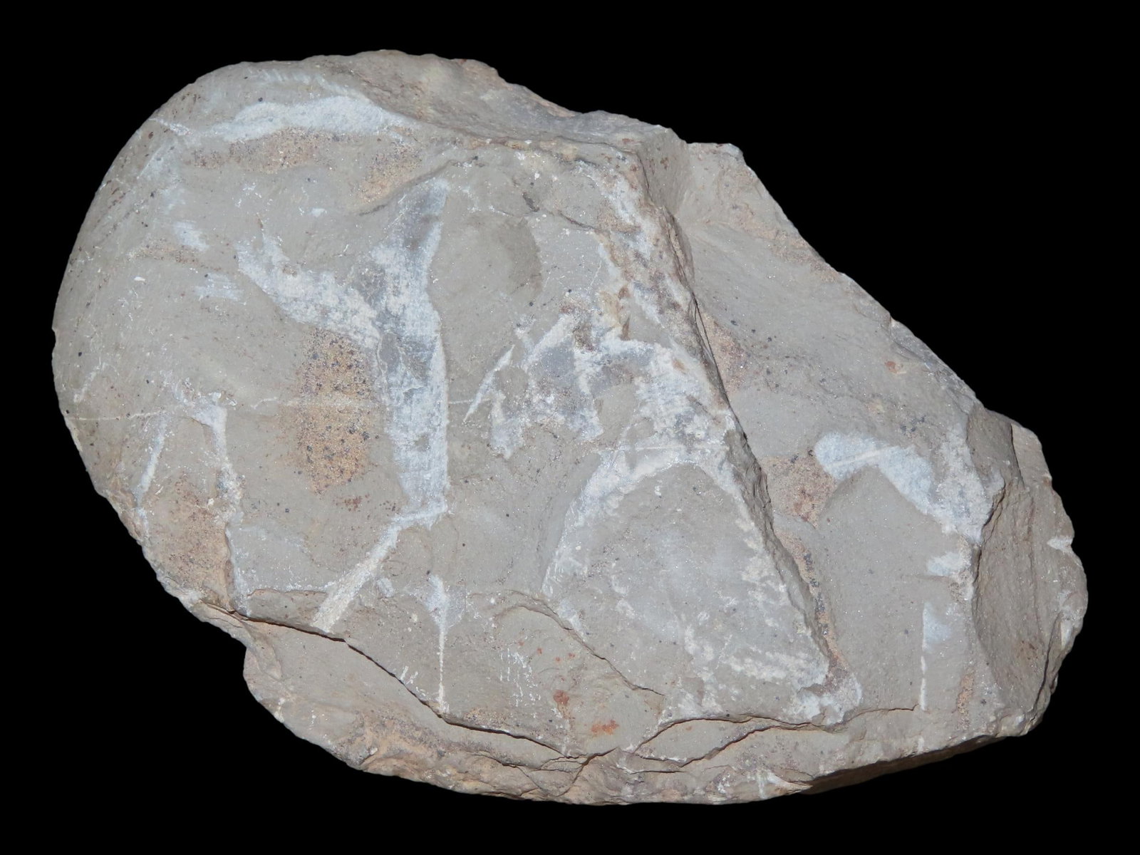 3 3/8" Chipped Slate Celt, Butler Co., Missouri, Ex. Mike Wright, Ex. Nick Gatses: 3 3/8" Chipped Slate Celt, Butler Co., Missouri, Ex. Mike Wright, Ex. Nick Gatses