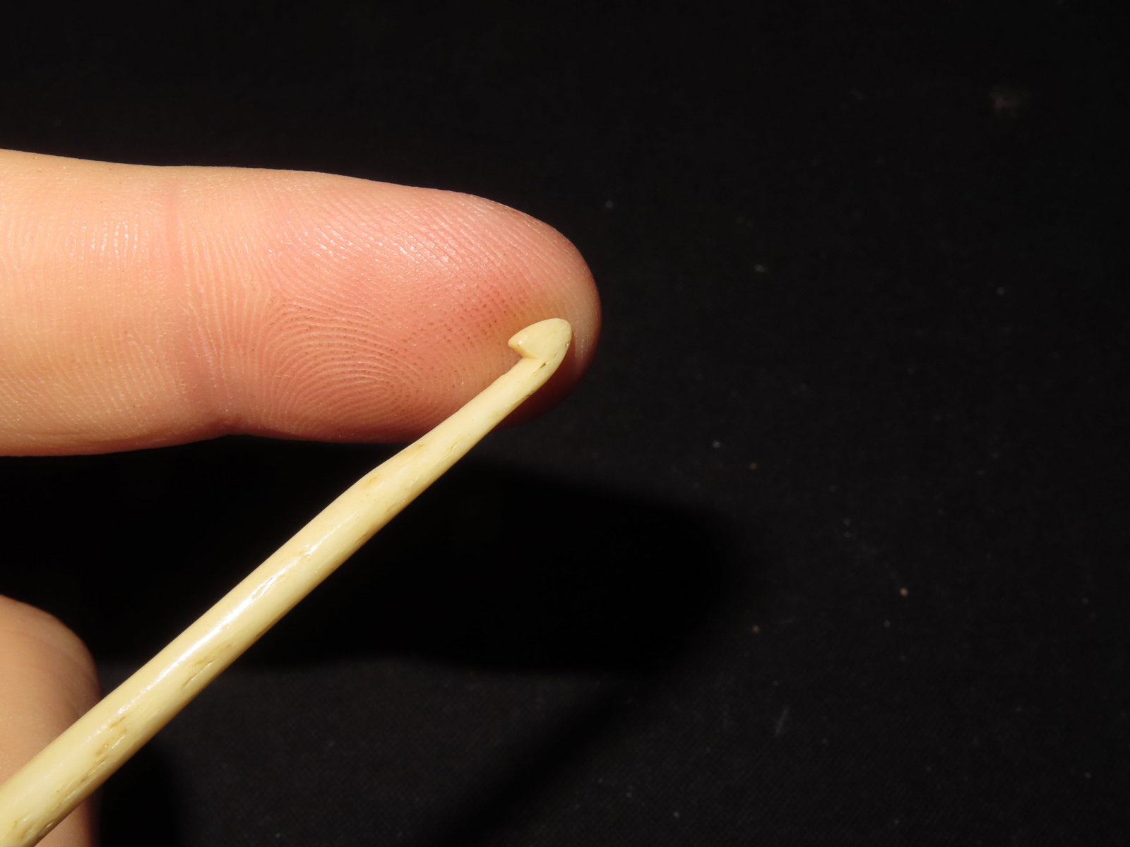 Bone Net Needle, Alaska - 3