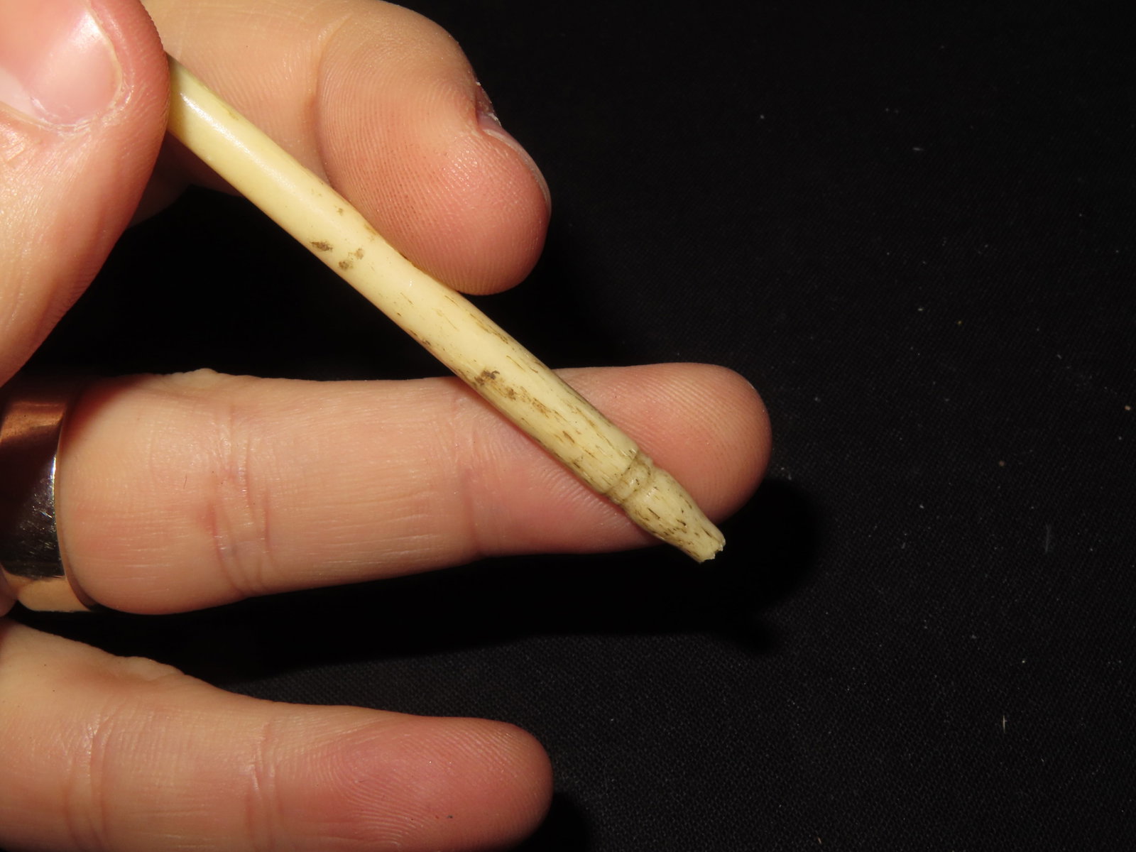 Bone Net Needle, Alaska - 4