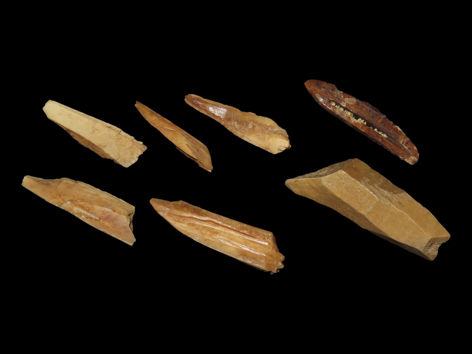 Alaska Eskimo Bone Artifact (1 of 2)