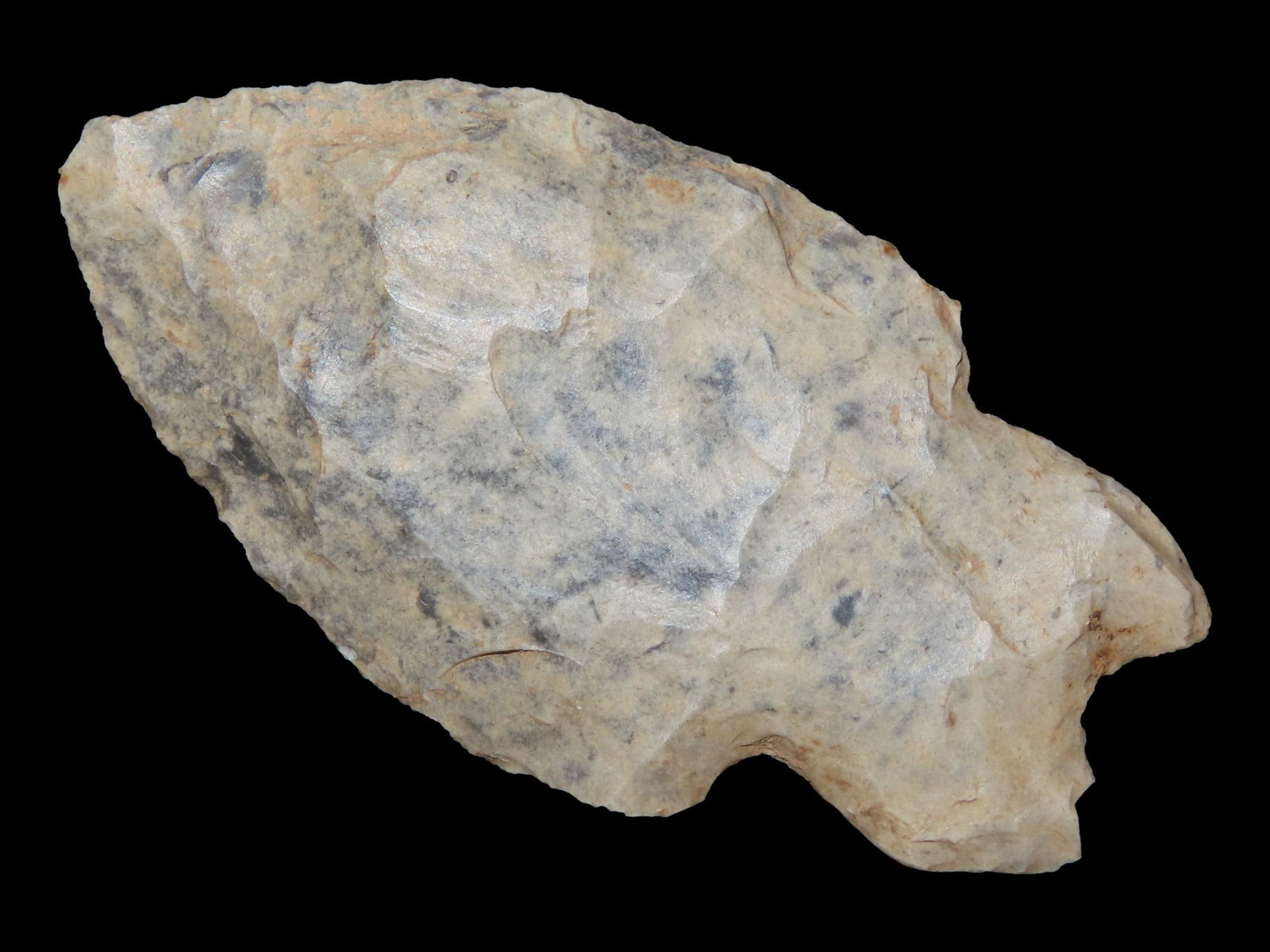 2 3/8?? Rice Lobe Point, Early Archaic, 7500-6000 BC, Fort Payne Chert, Warren Co., Kentucky: 2 3/8” Rice Lobe Point, Early Archaic, 7500-6000 BC, Fort Payne Chert, Warren Co., Kentucky