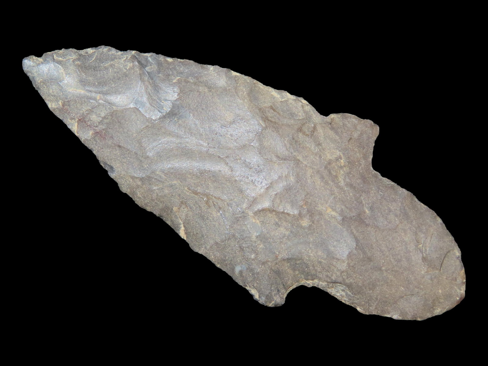 2 3/4?? Turkeytail Arrowhead: 2 3/4” Turkeytail Arrowhead