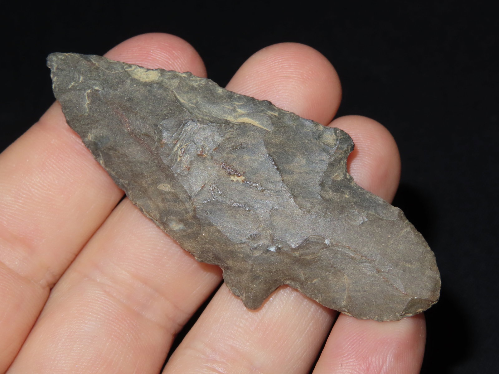 2 3/4?? Turkeytail Arrowhead - 2