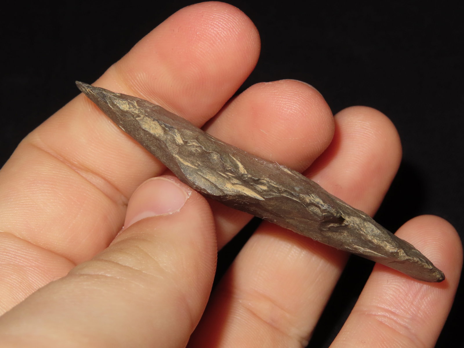 2 3/4?? Turkeytail Arrowhead - 3