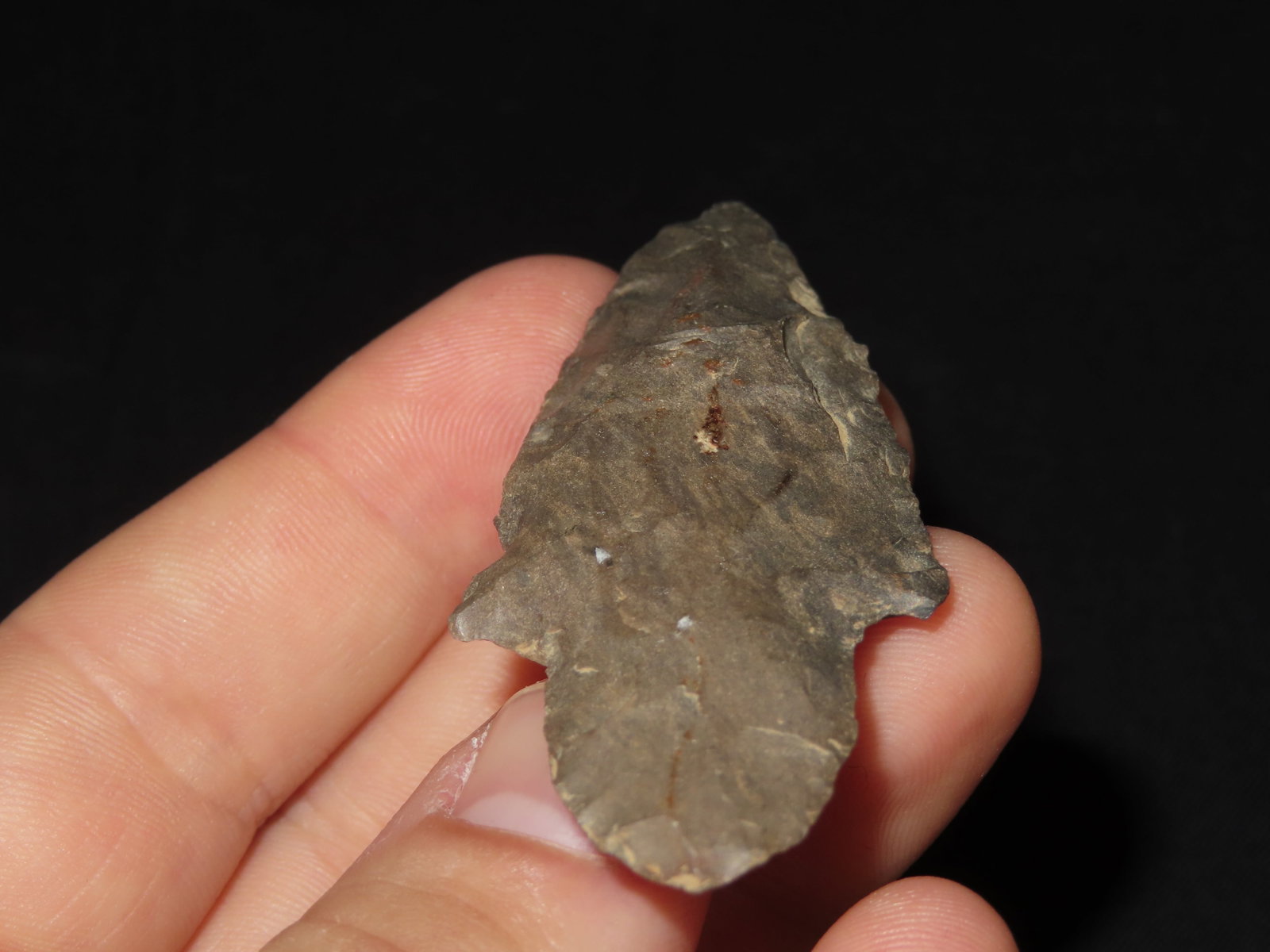 2 3/4?? Turkeytail Arrowhead - 5