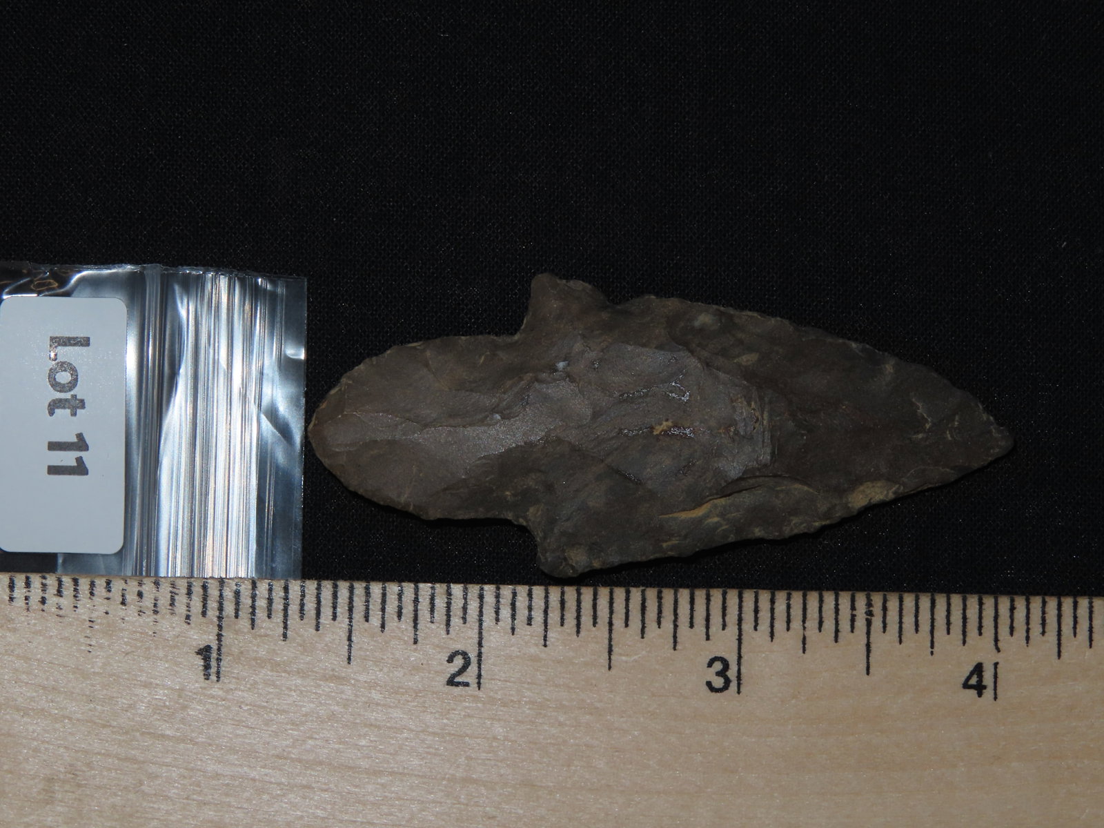 2 3/4?? Turkeytail Arrowhead - 6