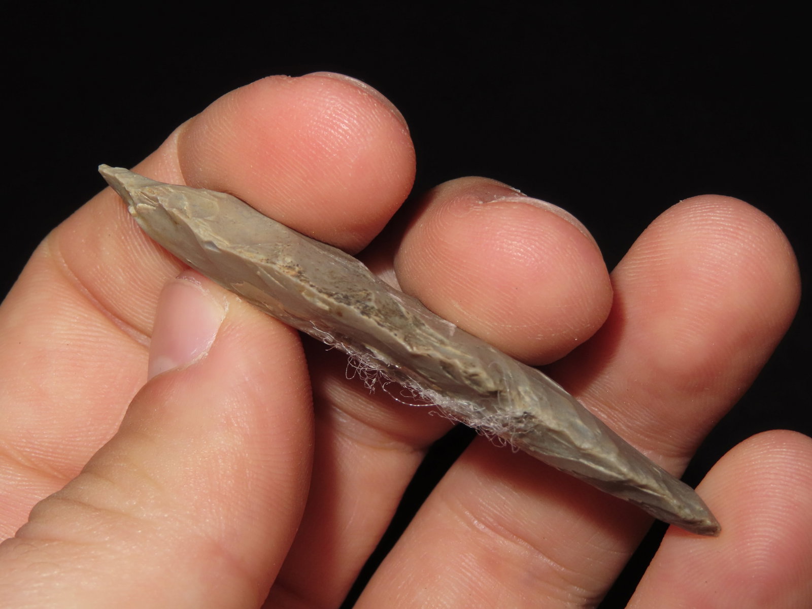 2 1/2?? Turkeytail Arrowhead - 4
