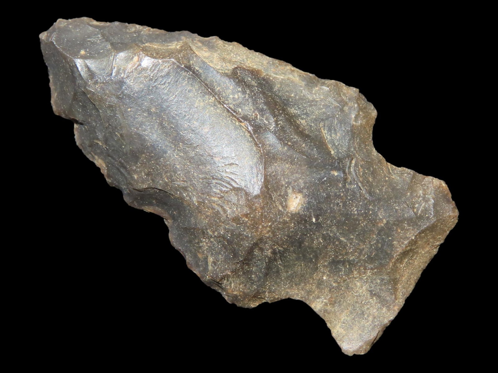 1 5/8?? Kampsville Point, Found in Itawamba County: 1 5/8” Kampsville Point, Found in Itawamba County