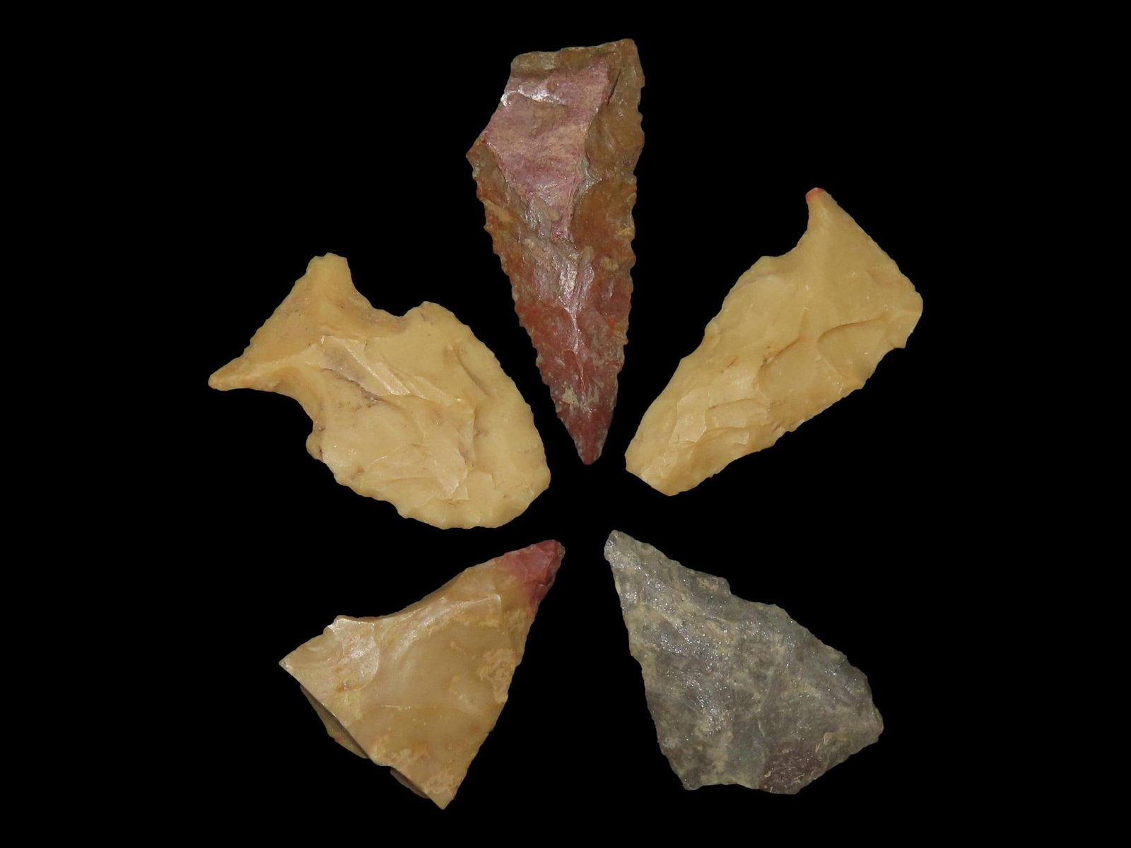 Group of 5 Bird Points, NE Mississippi (1 of 2)