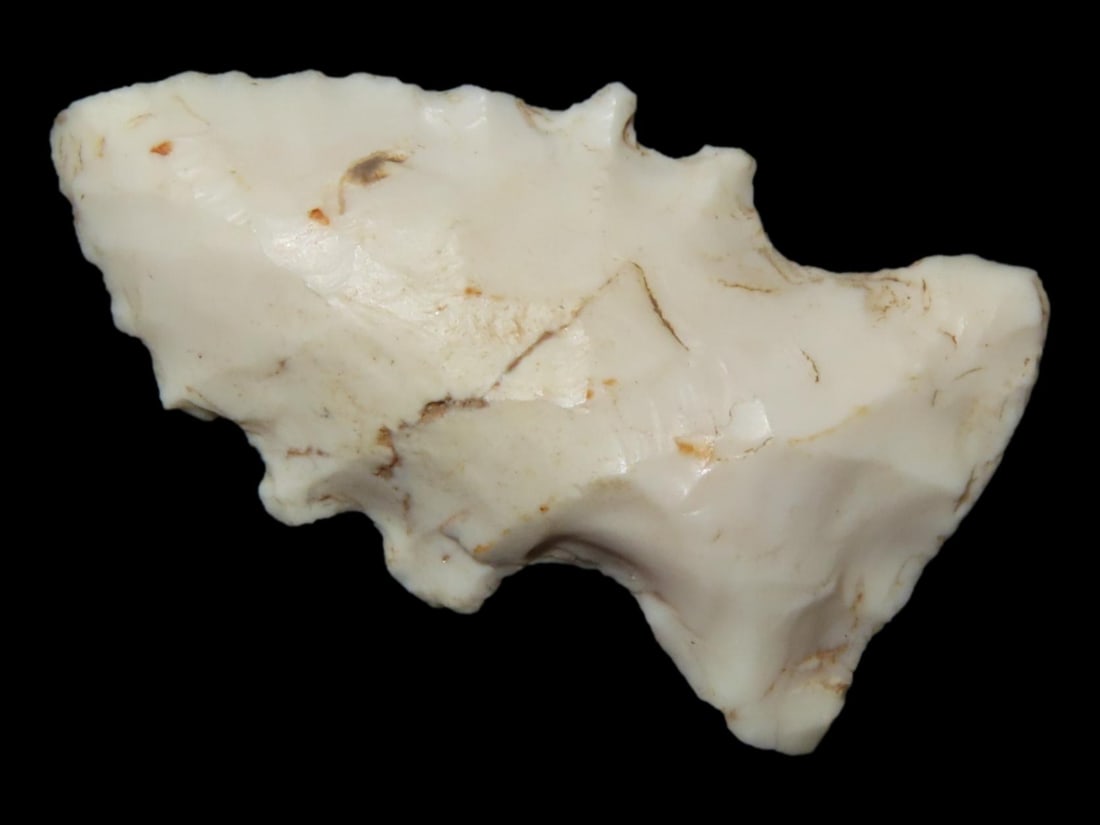 1?? Birdpoint Found in Itawamba County: 1” Birdpoint Found in Itawamba County
