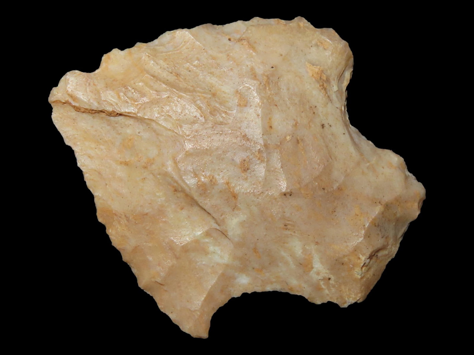1 5/8?? Square Stemmed, Found in Itawamba County: 1 5/8” Square Stemmed, Found in Itawamba County