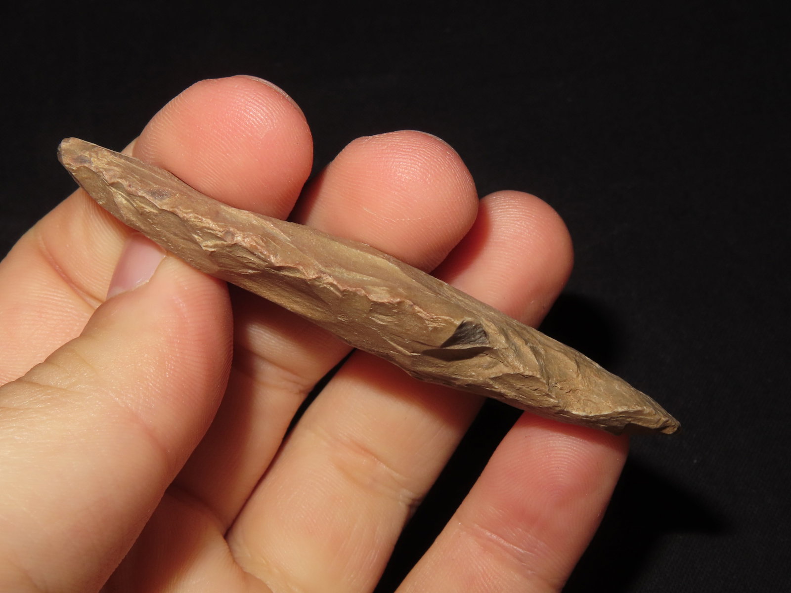 3?? Turkeytail Arrowhead - 3