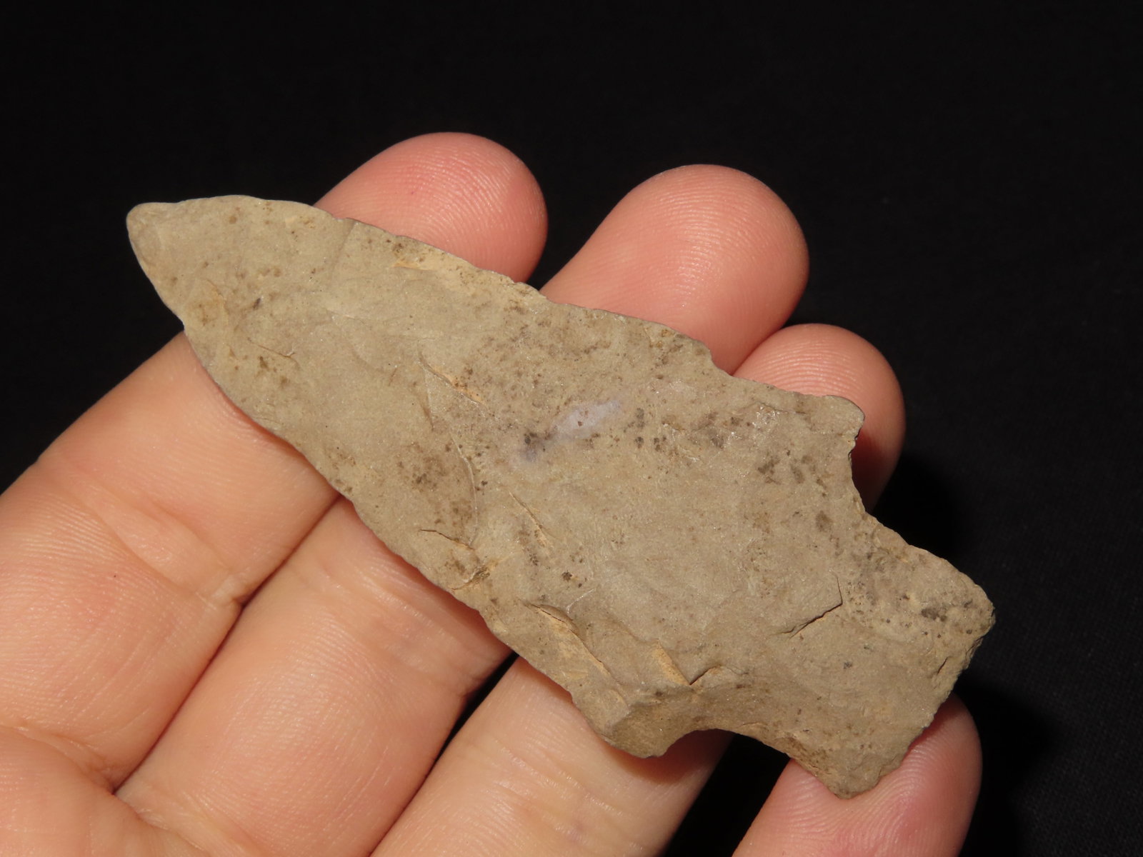 3?? Archaic Spear, Lee County, IL - 2
