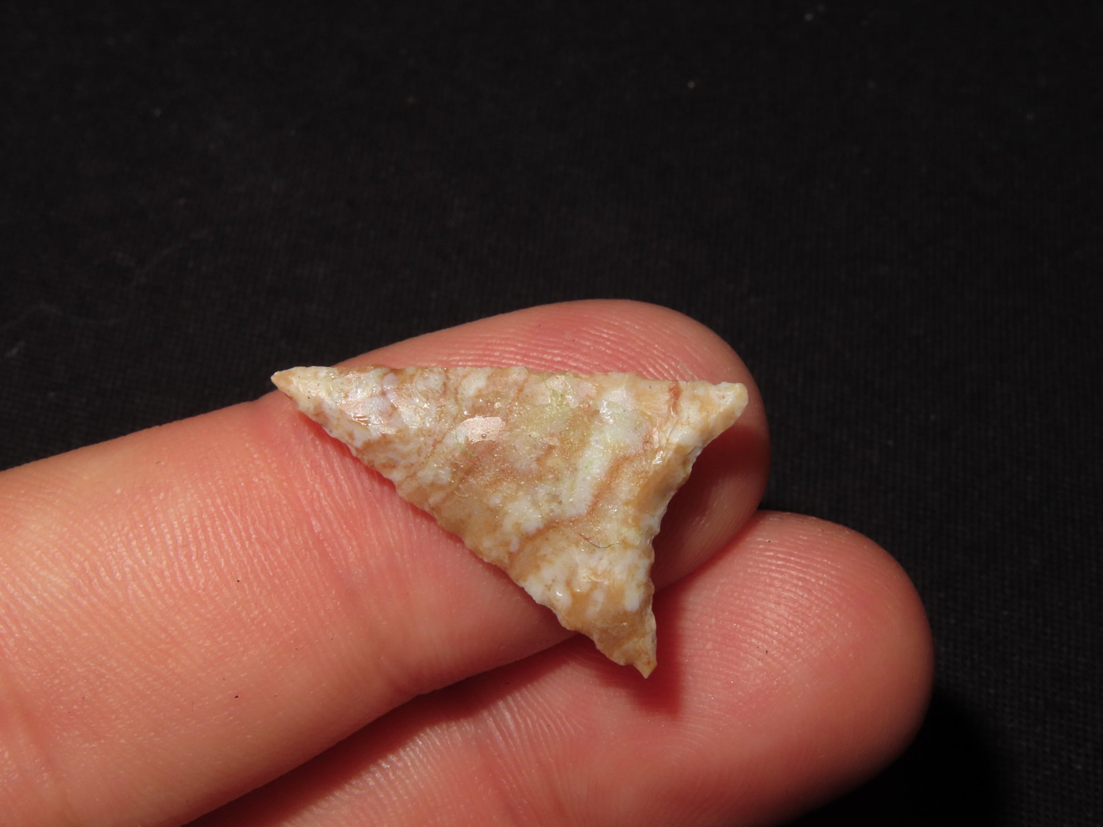 Triangular Bird Point - 3