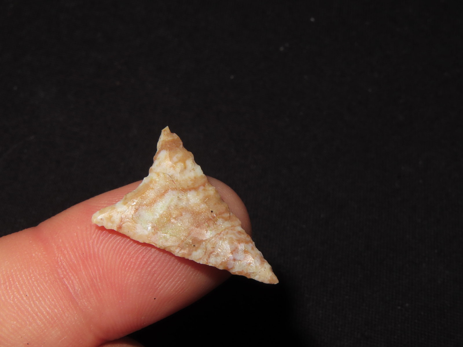 Triangular Bird Point - 6