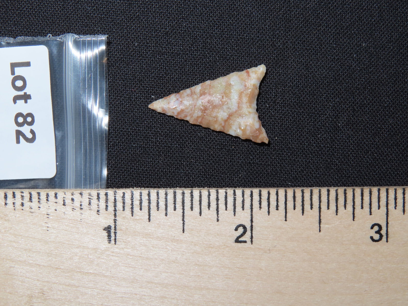 Triangular Bird Point - 7