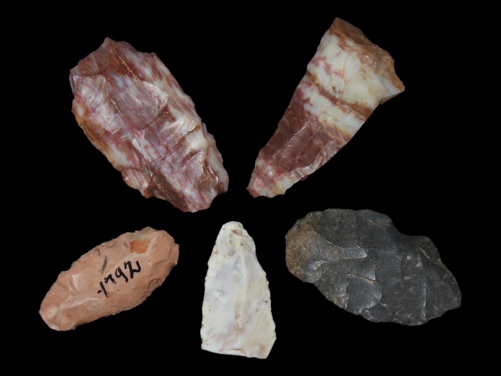 5 Projectile Points, C.E. Weymouth Ranch, Between Quarry Site & Lakes, Potter Co., Texas (1 of 2)