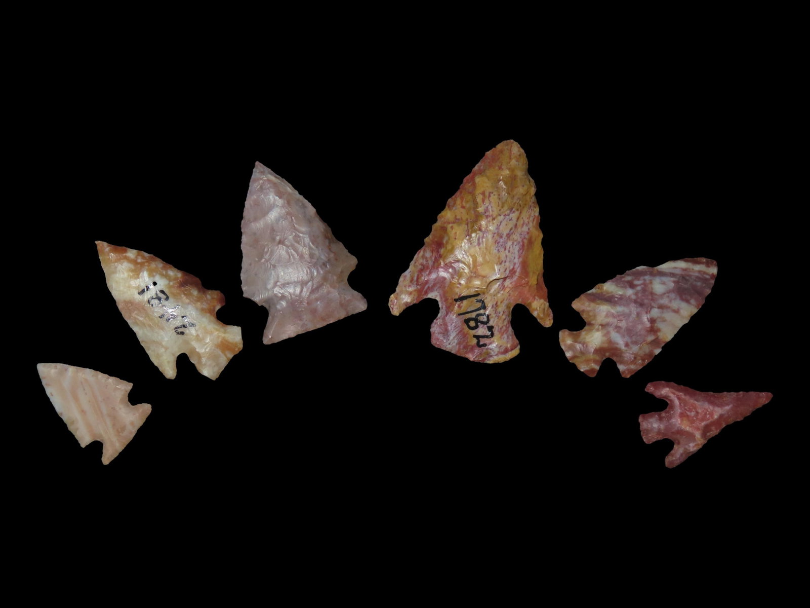 6 Projectile Points, R.E. Whiteaker Ranch, Punde De Agua Creek, Hartley Co., Texas: 6 Projectile Points, R.E. Whiteaker Ranch, Punde De Agua Creek, Hartley Co., Texas