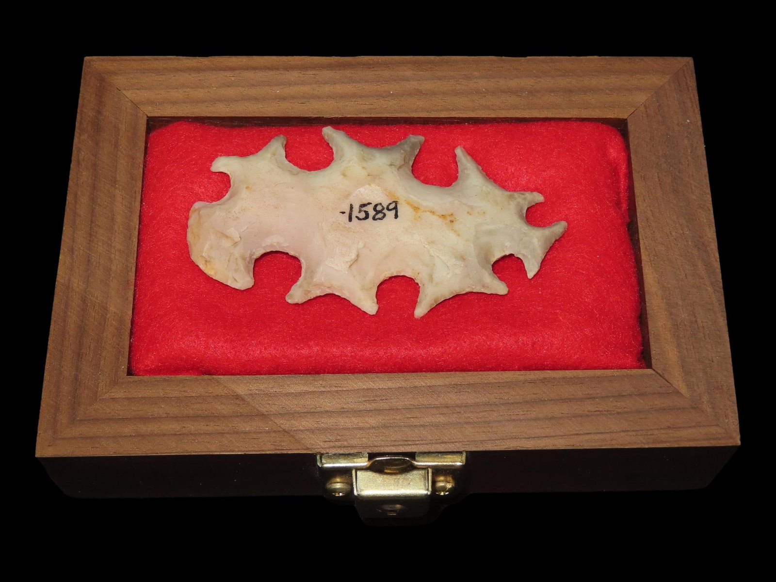 3 1/4?? Ceremonial Eccentric with Frame, Texas: 3 1/4” Ceremonial Eccentric with Frame, Texas