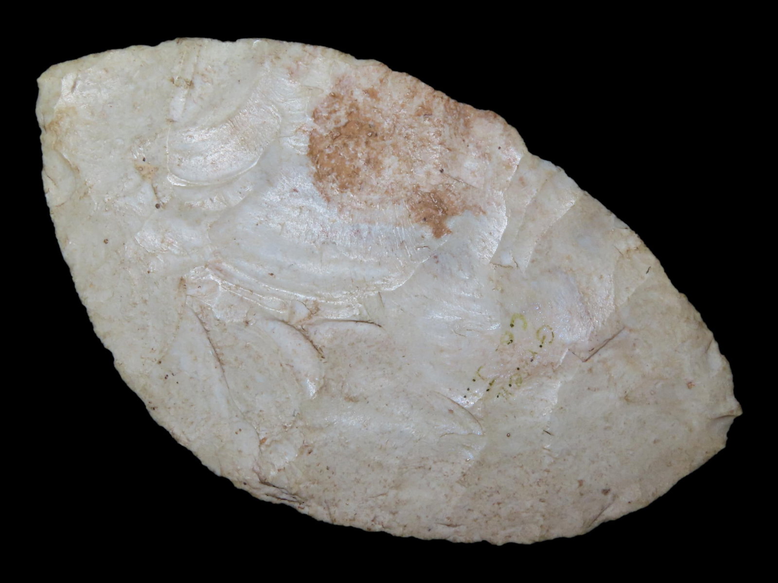 3 15/16?? x 2 1/4?? Early Ovoid Knife, Burlington Chert, Greene Co., Illinois, Motley COA: 3 15/16” x 2 1/4” Early Ovoid Knife, Burlington Chert, Greene Co., Illinois, Motley COA