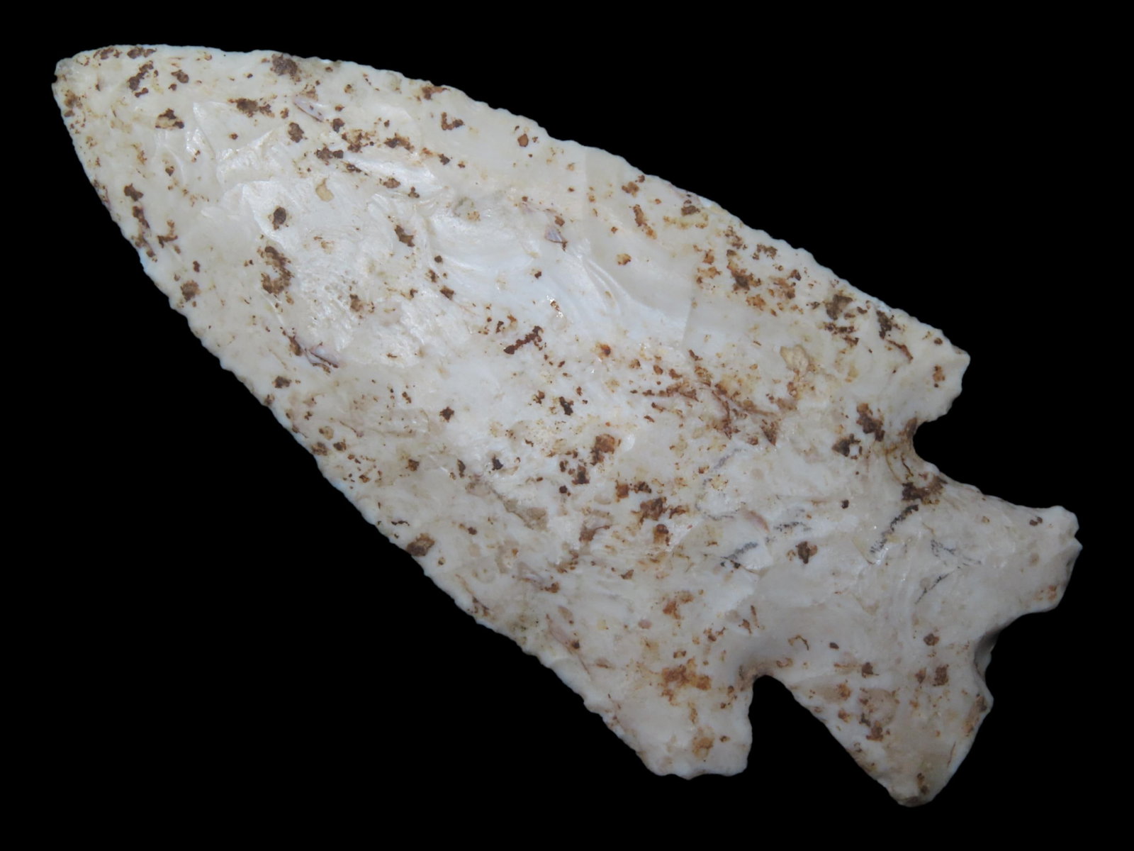 3 5/8?? x 1 5/8?? Hardin, Burlington Chert, Jersey or Madison Co., Illinois, Motley COA: 3 5/8” x 1 5/8” Hardin, Burlington Chert, Jersey or Madison Co., Illinois, Motley COA