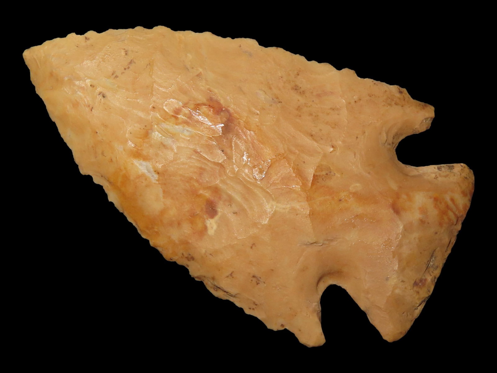 2 3/4?? x 1 9/16?? Ocala Point, Crowley’s Ridge Chert, Butler Co., Missouri, Motley COA (1 of 9)