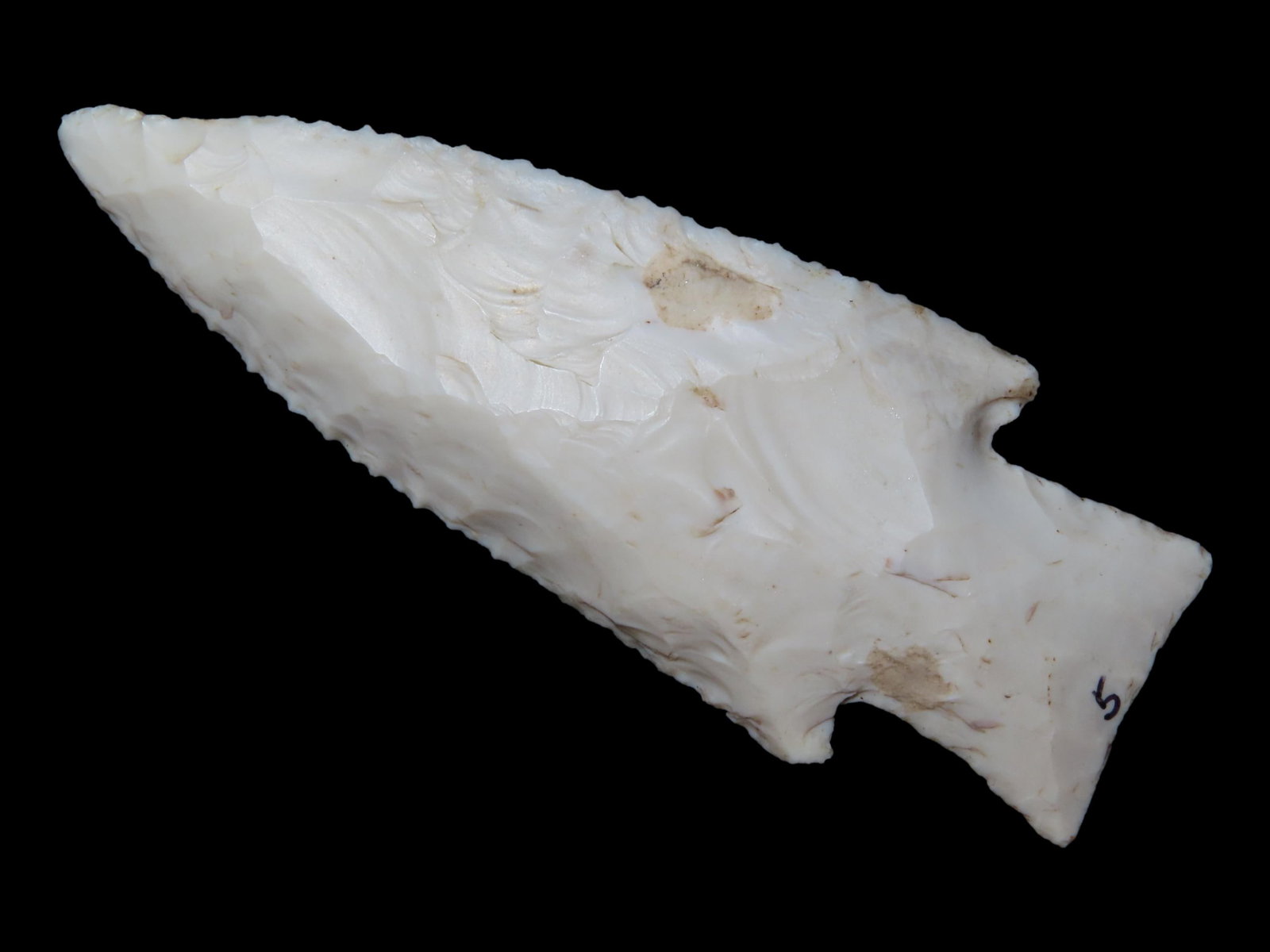 3 11/16?? x 1 3/8?? Hardin Point, Burlington Chert, Scott Co., Illinois, Motley COA: 3 11/16” x 1 3/8” Hardin Point, Burlington Chert, Scott Co., Illinois, Motley COA