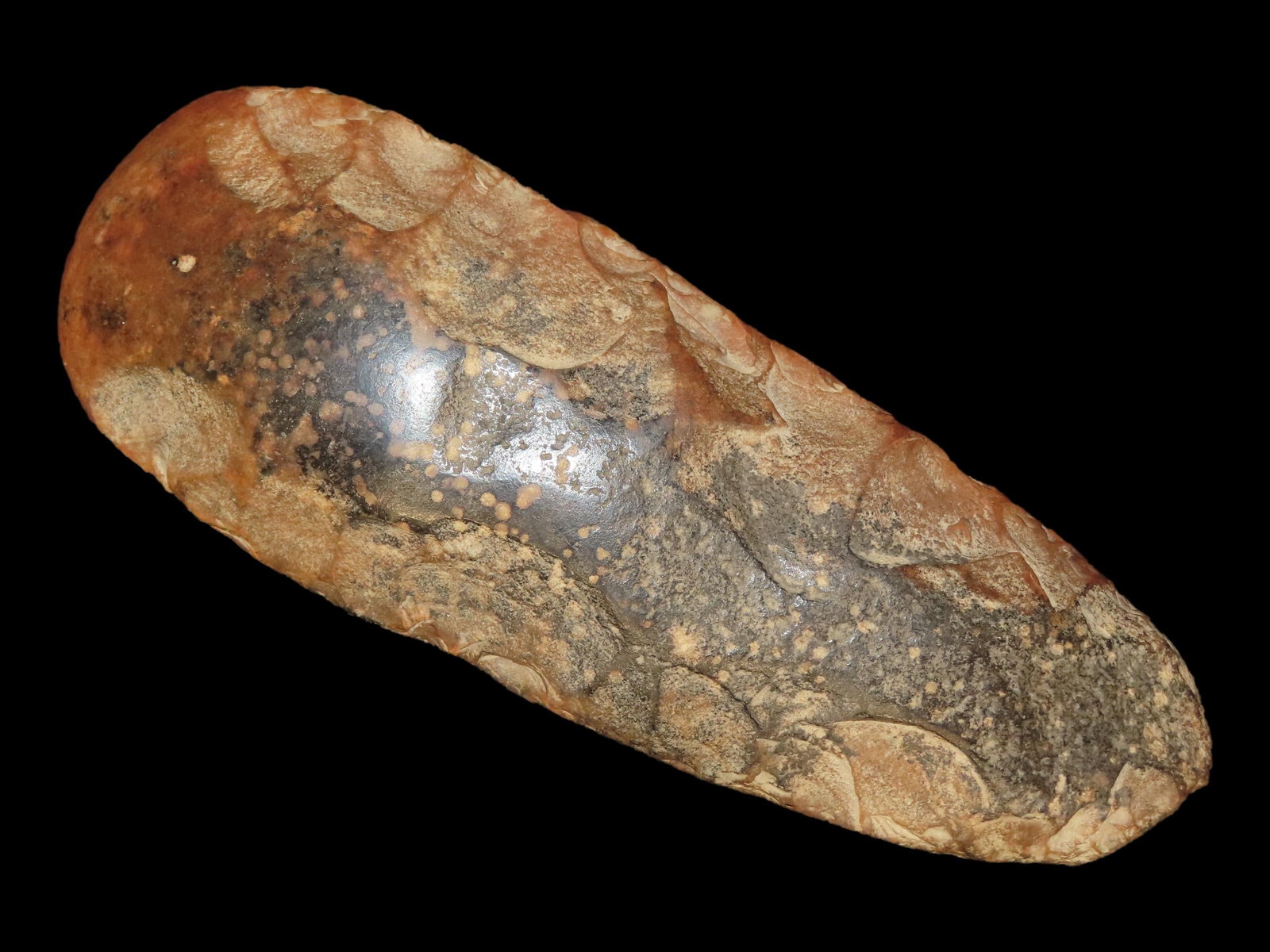 10 1/4?? x 3 3/4?? Spade, Dover Chert, Benton Co., Tennessee, Motley & Leithoff COA (1 of 13)