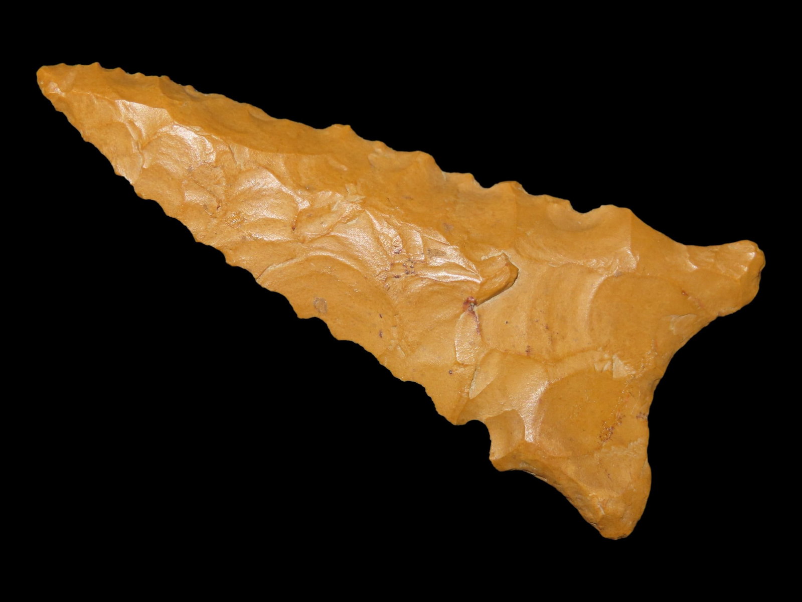 2 5/16?? x 1?? Dalton, Crowley’s Ridge Cobble Chert/Bailey, Izard Co., Arkansas, Ken Partain COA (1 of 13)