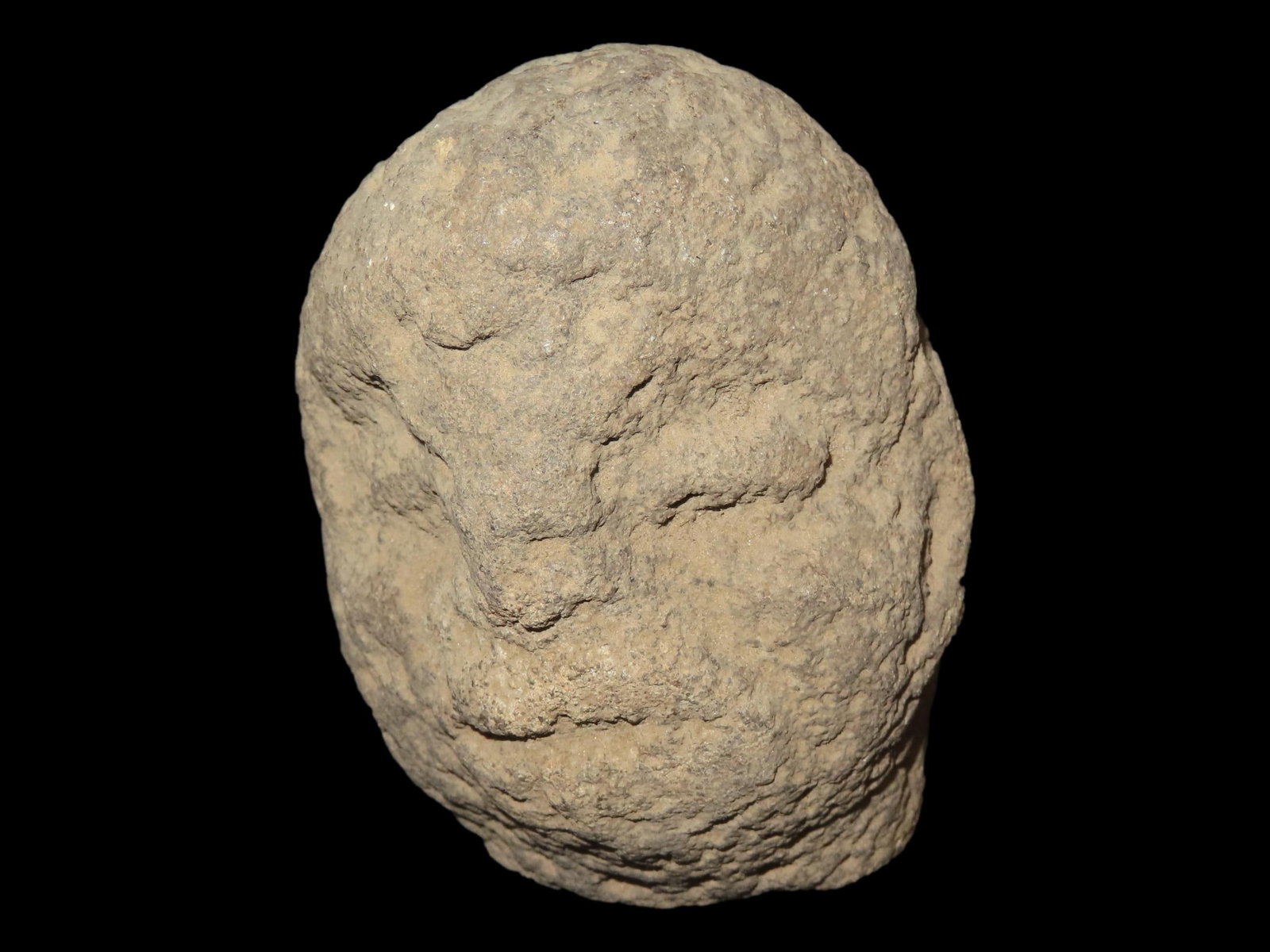 4?? x 2 1/8?? Pre-Columbian Zoomorphic Stone Head, from Belize (1 of 9)