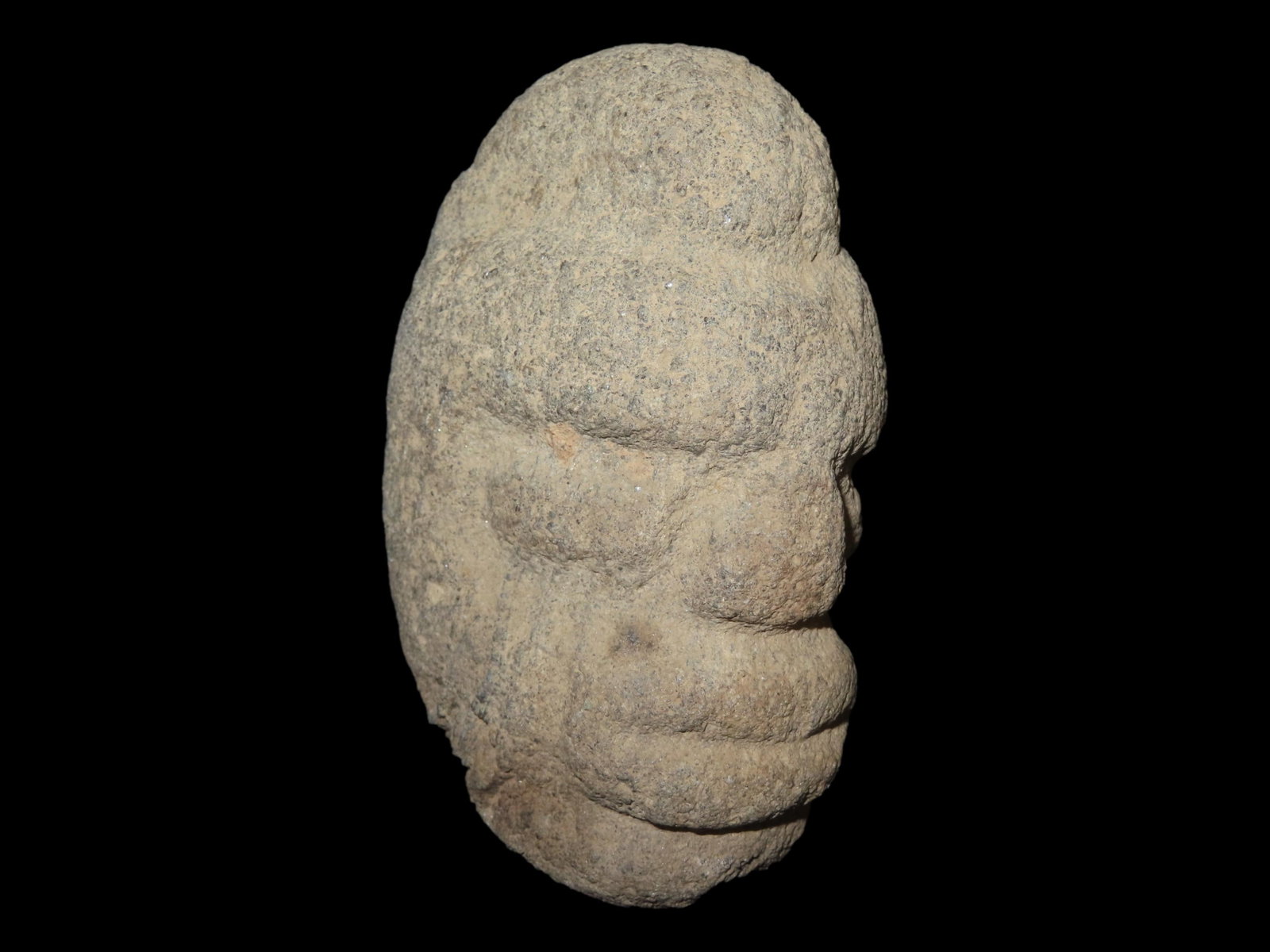 4 3/4?? x 3 3/8?? Pre-Columbian Stone Zoomorphic Idol, South America, Ex. Anderson Collection (1 of 8)
