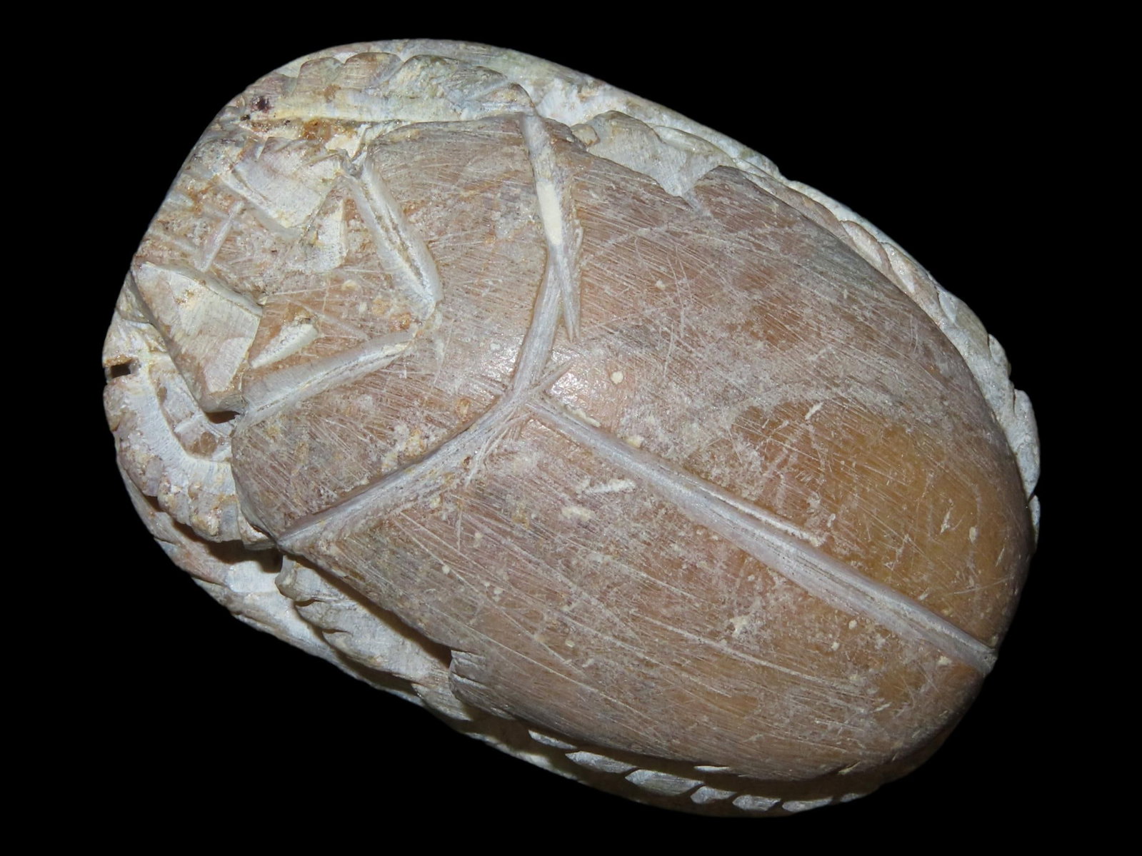 2 3/8?? Antique Ancient Scarab, Late Period, ca. 664-332 BCE (1 of 9)