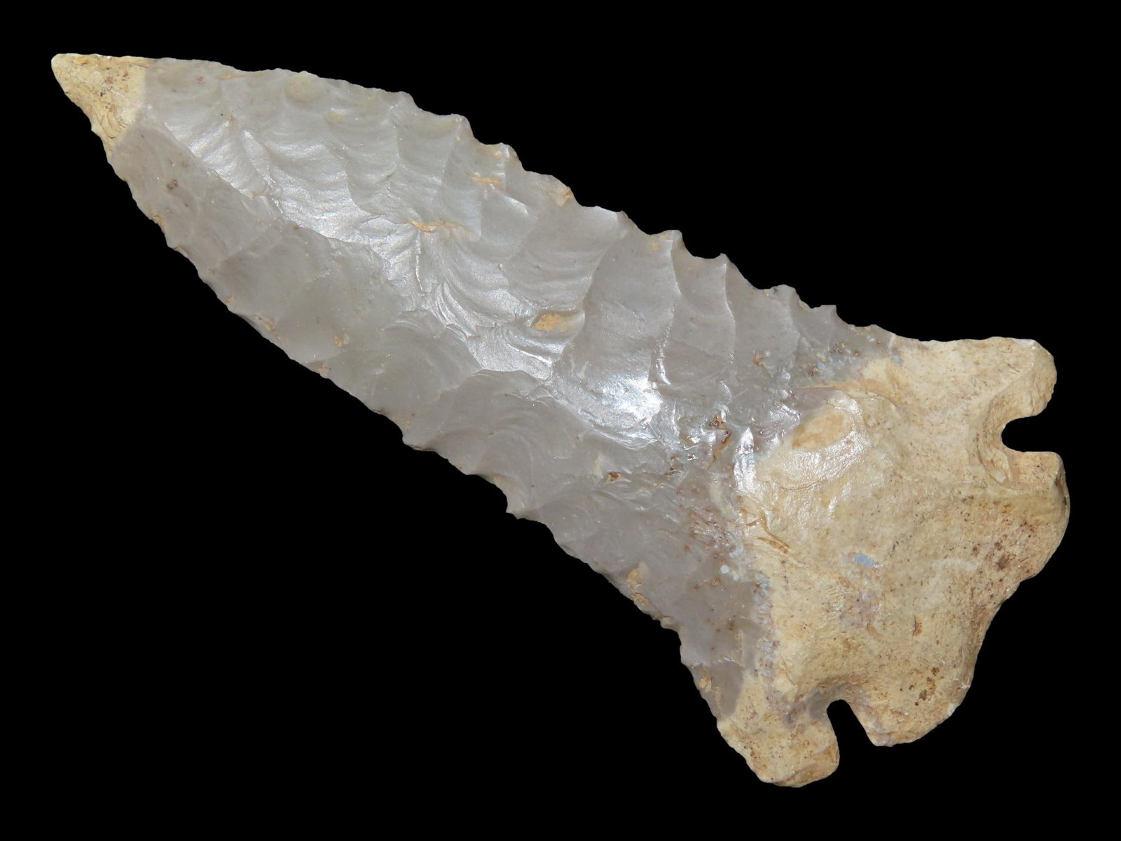 3 3/8?? x 1 1/2?? Pinetree Point, Central Kentucky (1 of 6)