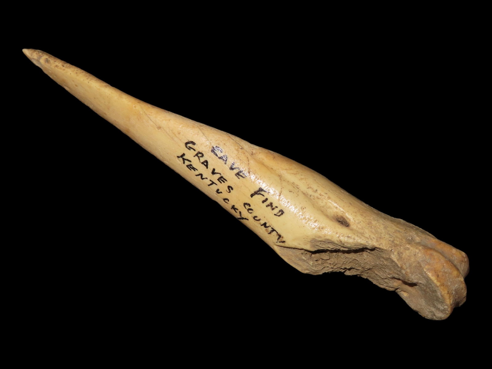 4 1/8?? x 1/4?? Bone Awl, Cave Find, Graves Co., Kentucky (1 of 8)