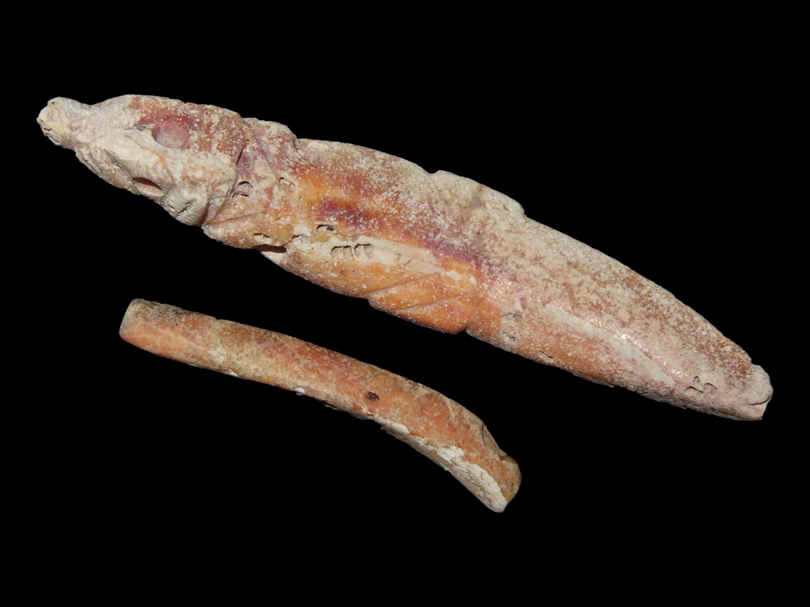 Lot of 2 Zoomorphic Effigy Shell Pendant/Beads Largest Measures 4": Lot of 2 Zoomorphic Effigy Shell Pendant/Beads Largest Measures 4"