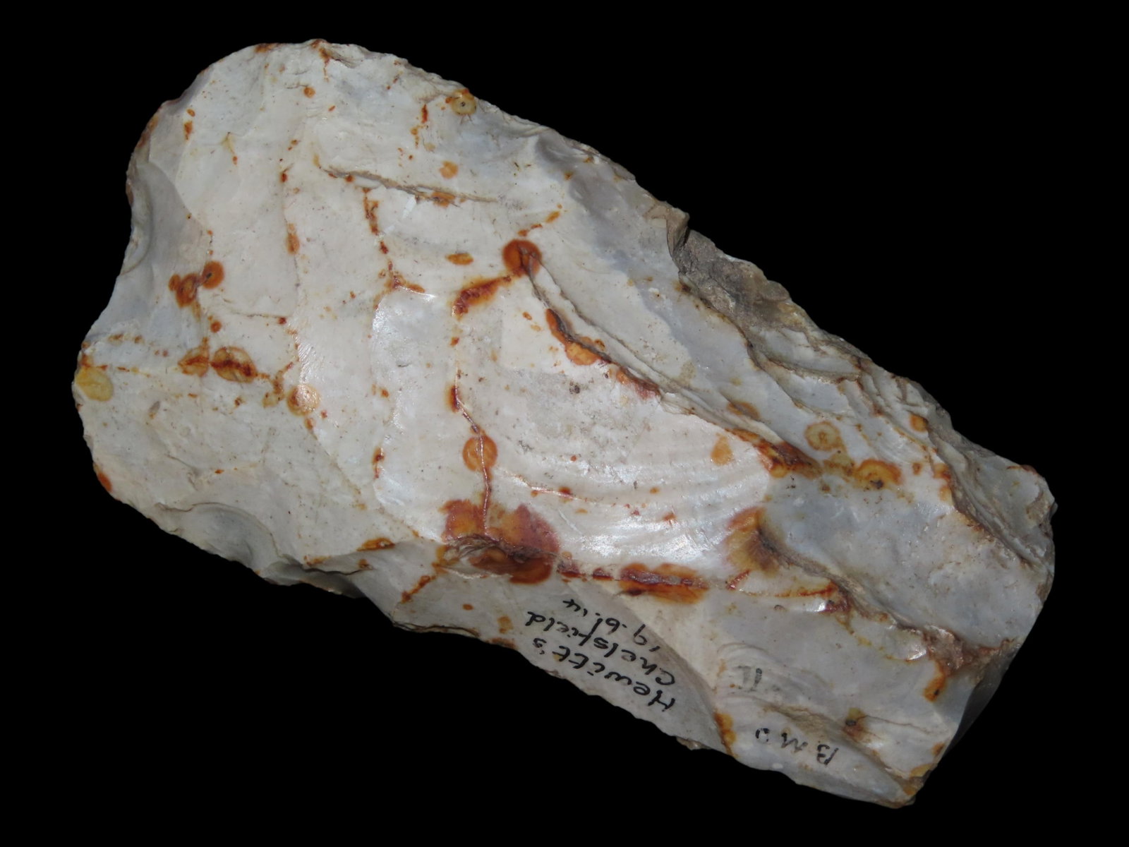 Flint Tranchet Axe, Mesolithic, from Hewitts, Chesterfield, Ex. Dewey, Info Card Included: Flint Tranchet Axe, Mesolithic, from Hewitts, Chesterfield, Ex. Dewey, Info Card Included