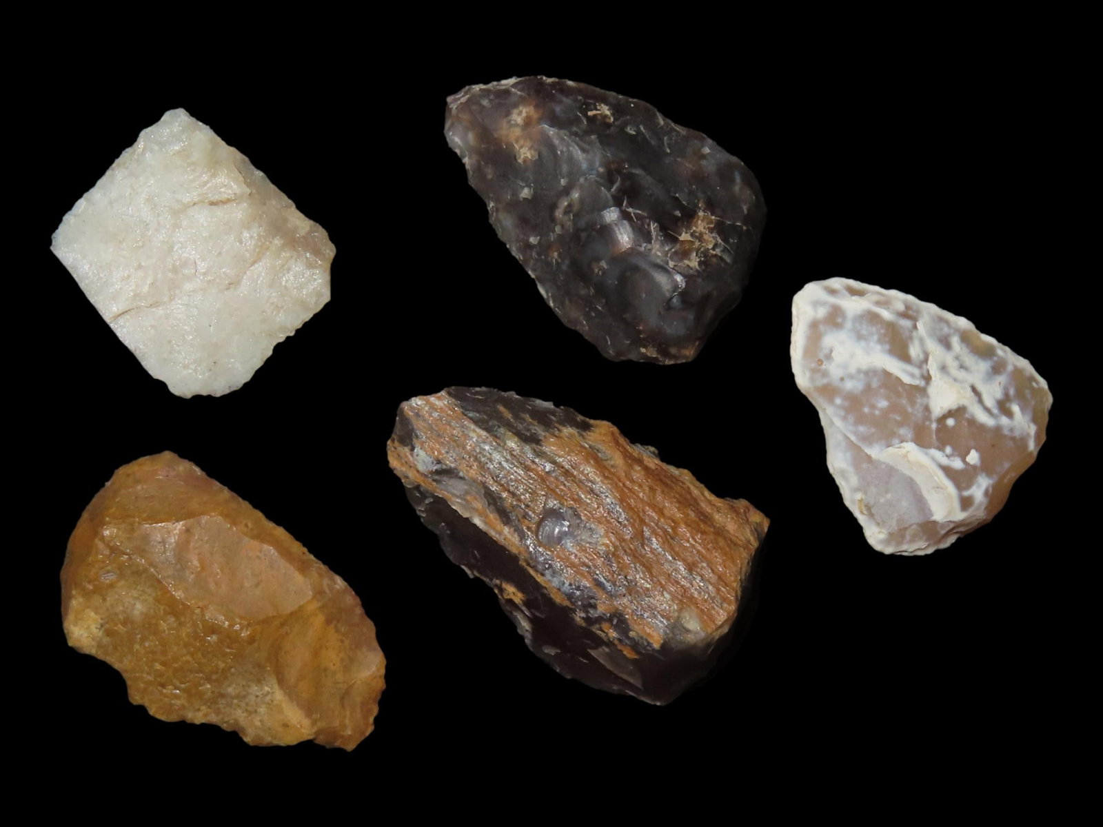 Mandan Scrapers, Found at Lewis and Clark Fort, South Dakota, Info Cards Included (1 of 3)