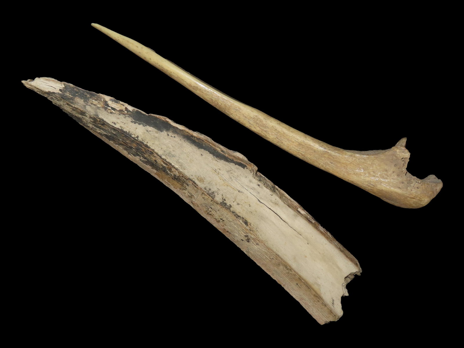 9 5/8?? Longest of Two Tools, Bering Strait, Alaska (1 of 9)