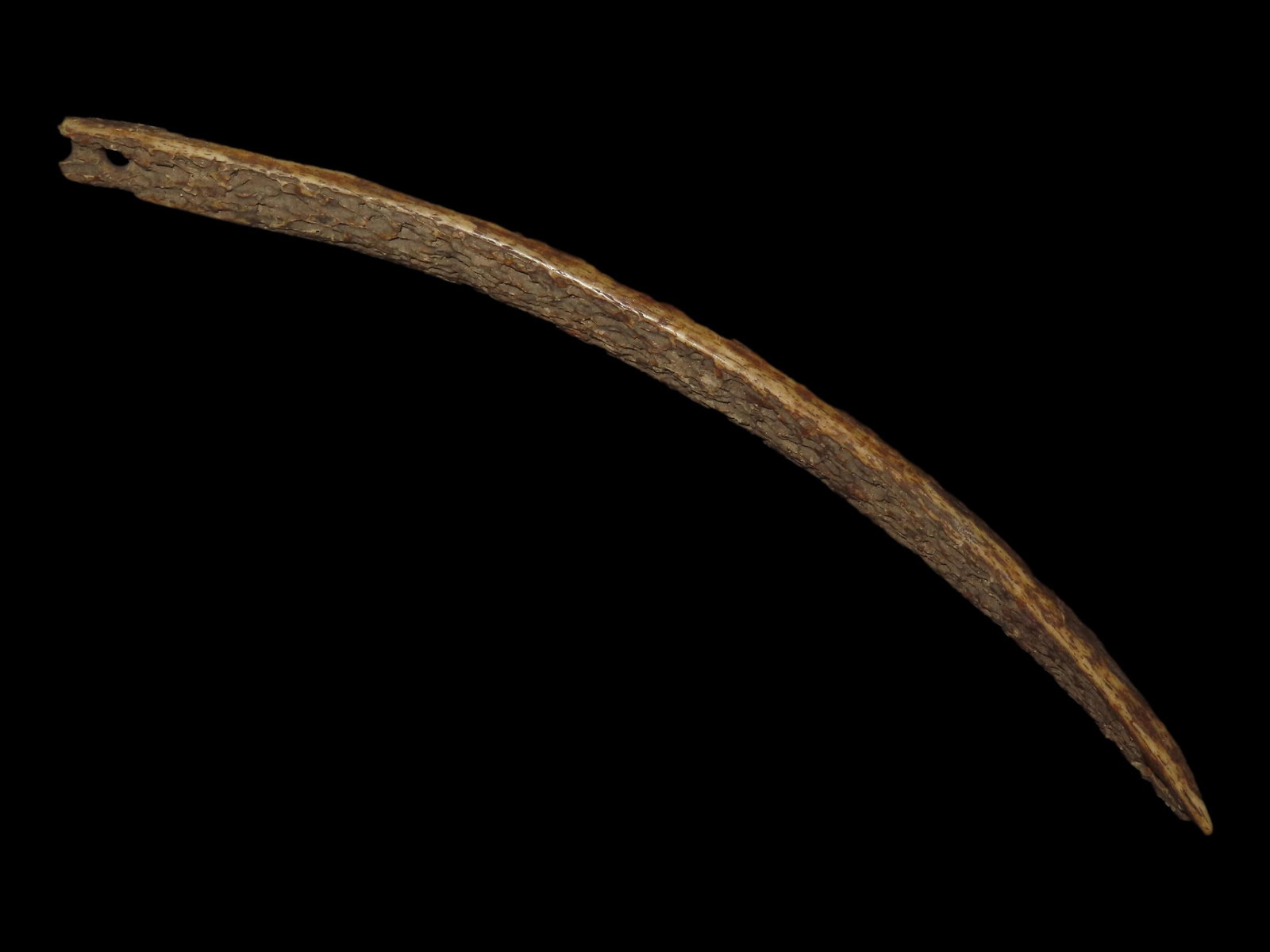 7 1/8?? Eskimo Fleshing Tool, Point Barrow, Alaska (1 of 7)