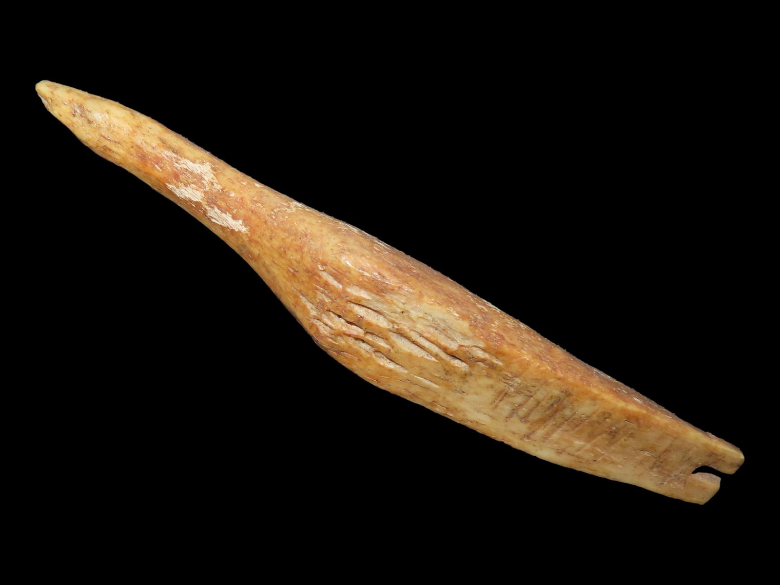 1 7/8?? Eskimo Ivory Toy, Possibly Duck, Bering Sea (1 of 6)