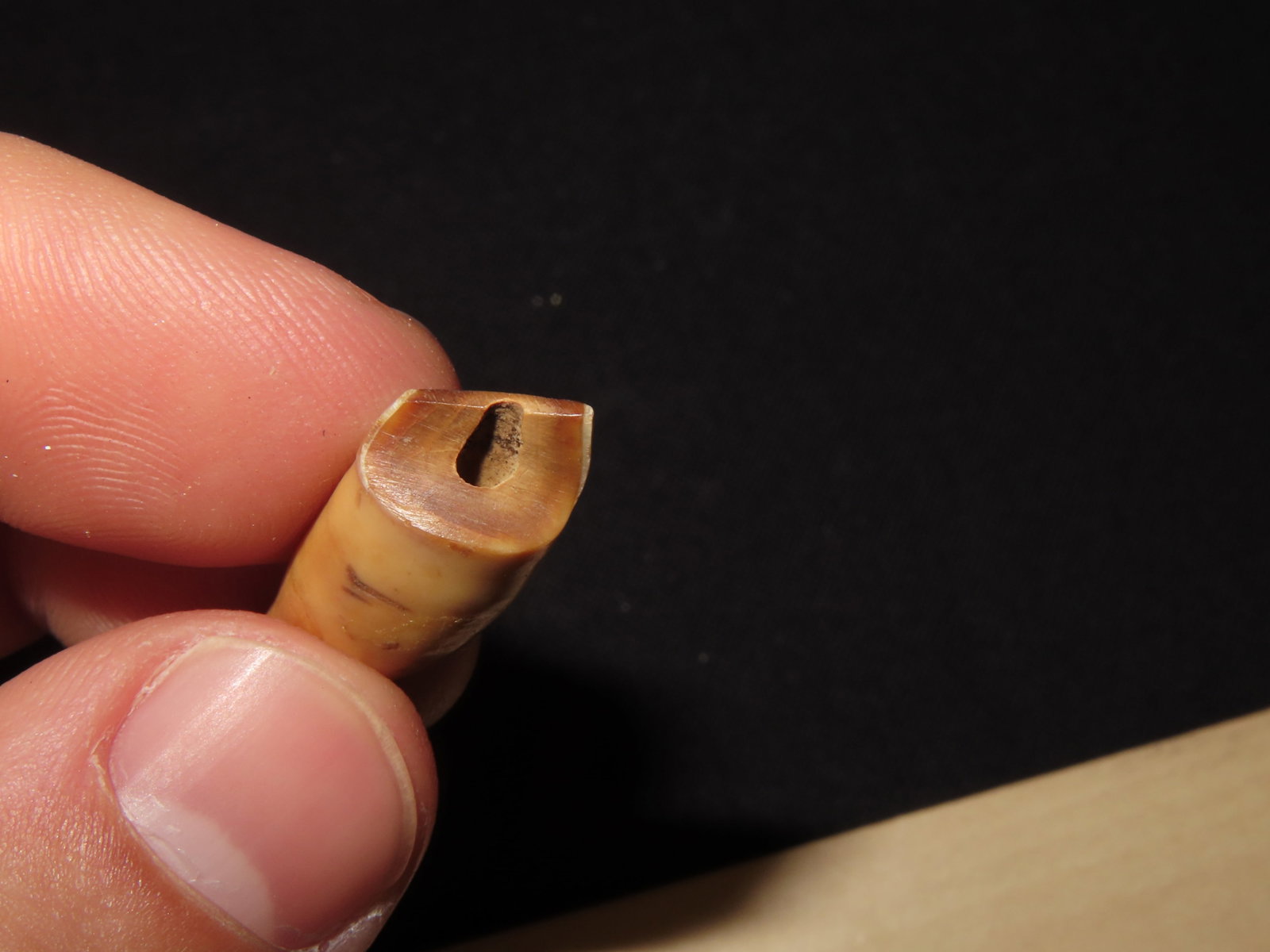 Drilled Teeth, Eskimo, Teller, Alaska - 5