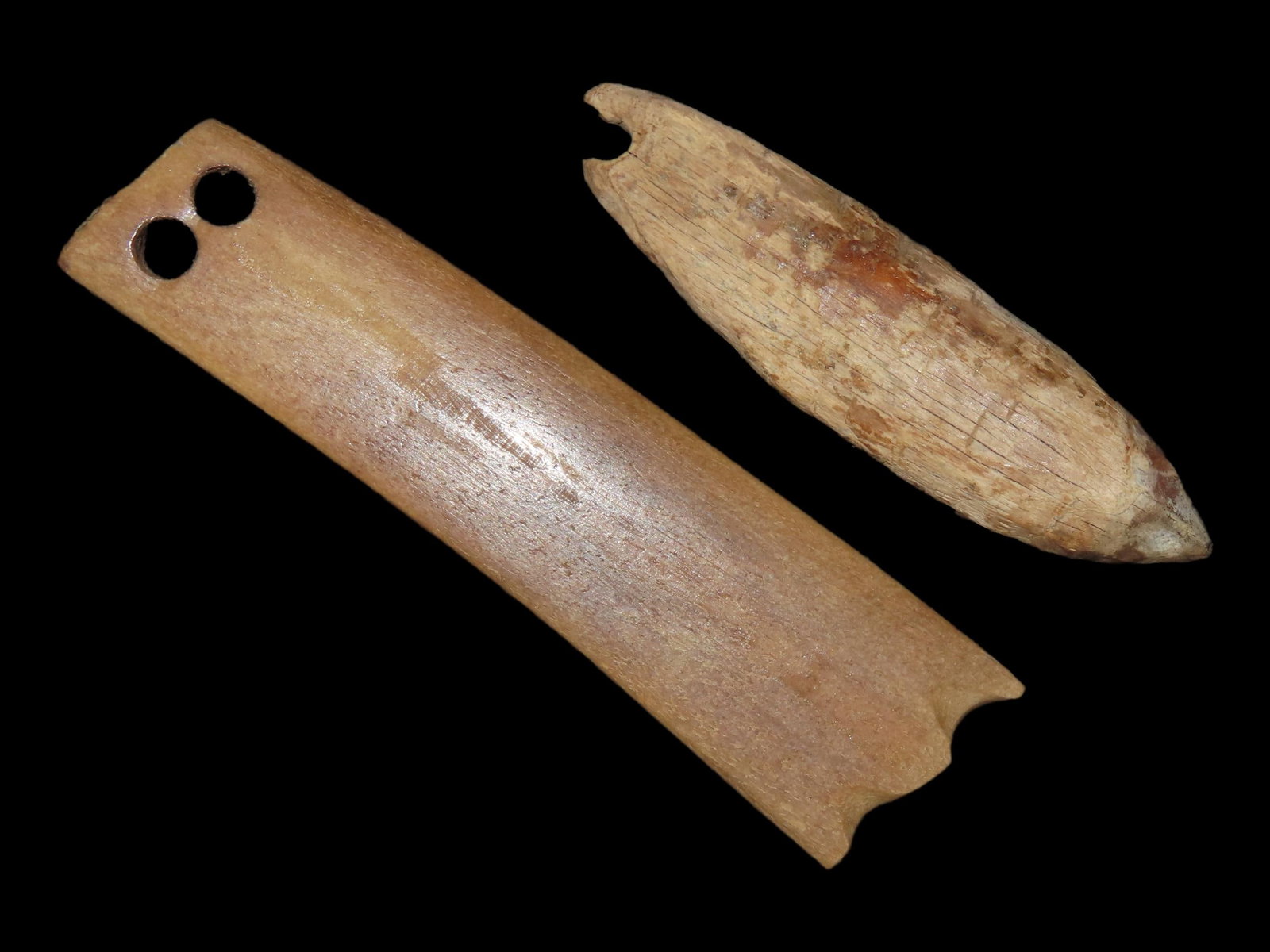 Lot of Two Eskimo Artifacts with Drilled Tooth and Tool from Bering Sea, Alaska (1 of 10)