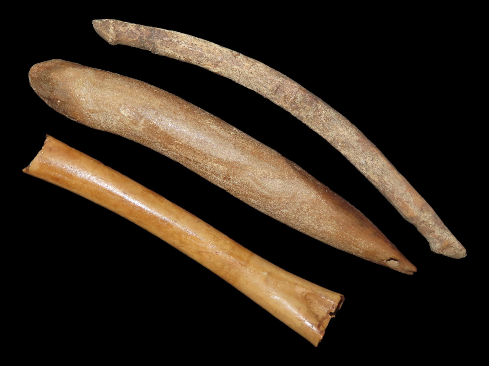 5 5/8?? Longest Artifact out of 3, Bering Sea, Alaska, Eskimo: 5 5/8” Longest Artifact out of 3, Bering Sea, Alaska, Eskimo