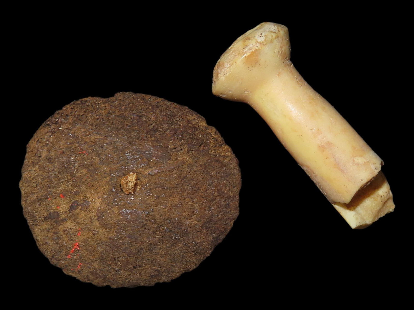 Lot of 2 Eskimo Artifacts/Tools from Bering Sea, Alaska (1 of 10)